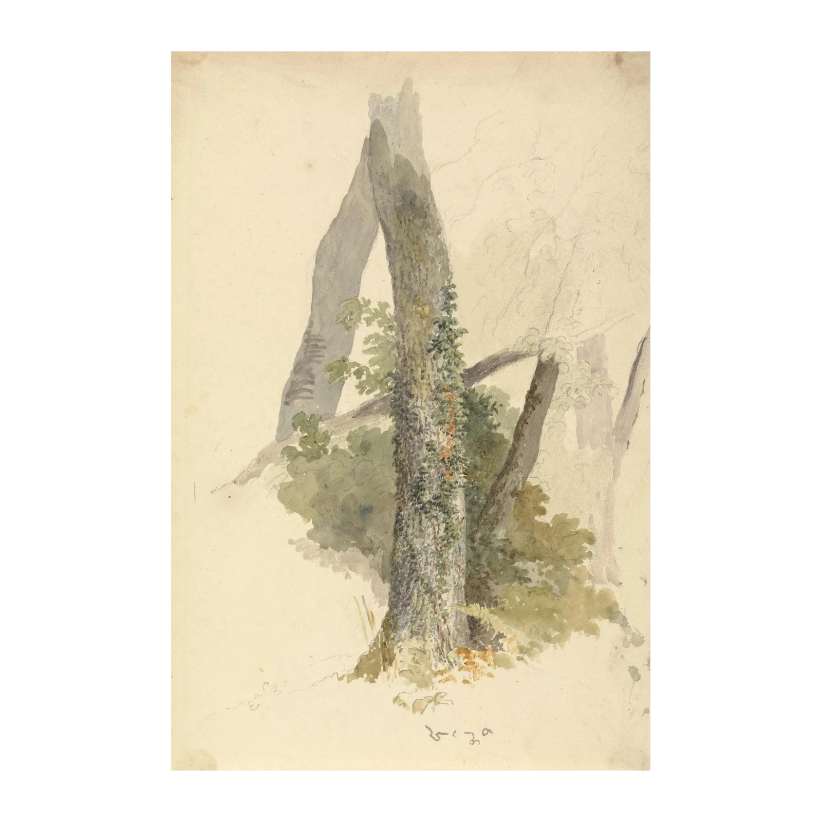 Rustic Forest Trees Watercolor Wall Art