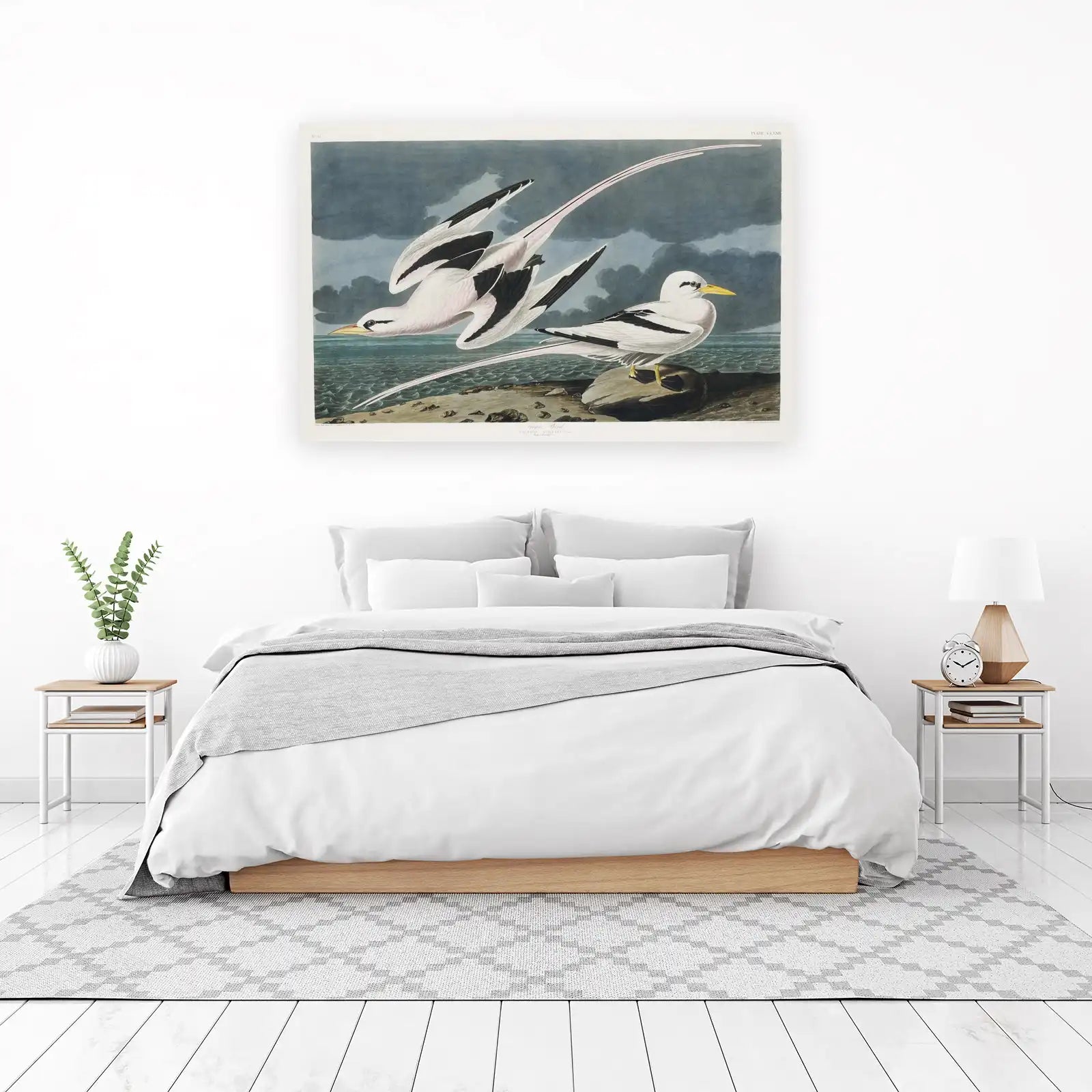 Elegant Tropic Bird Coastal Wall Art
