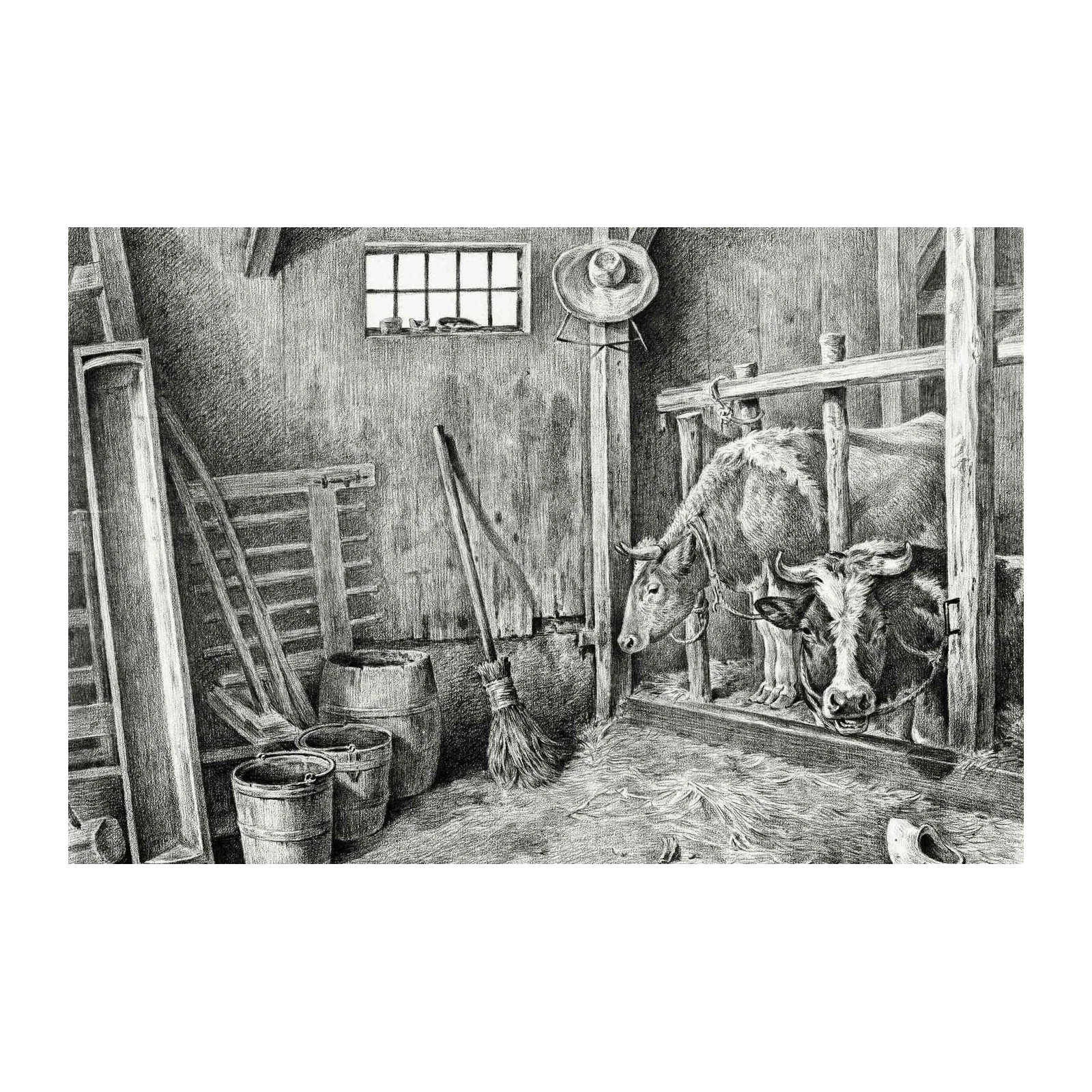 Rustic Barn Cows Black & White Wall Art