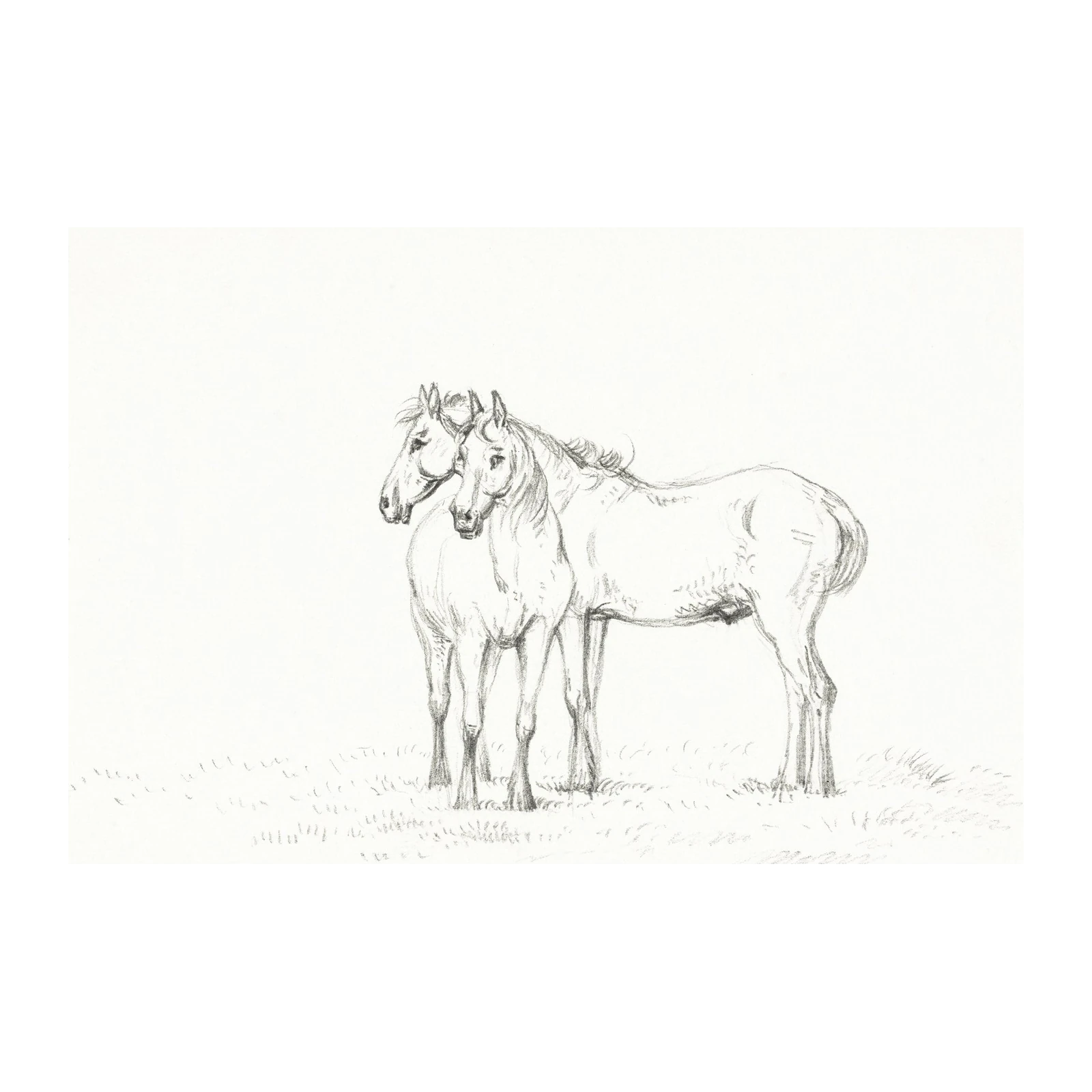 Elegant Equine Duo Charcoal Sketch Wall Art