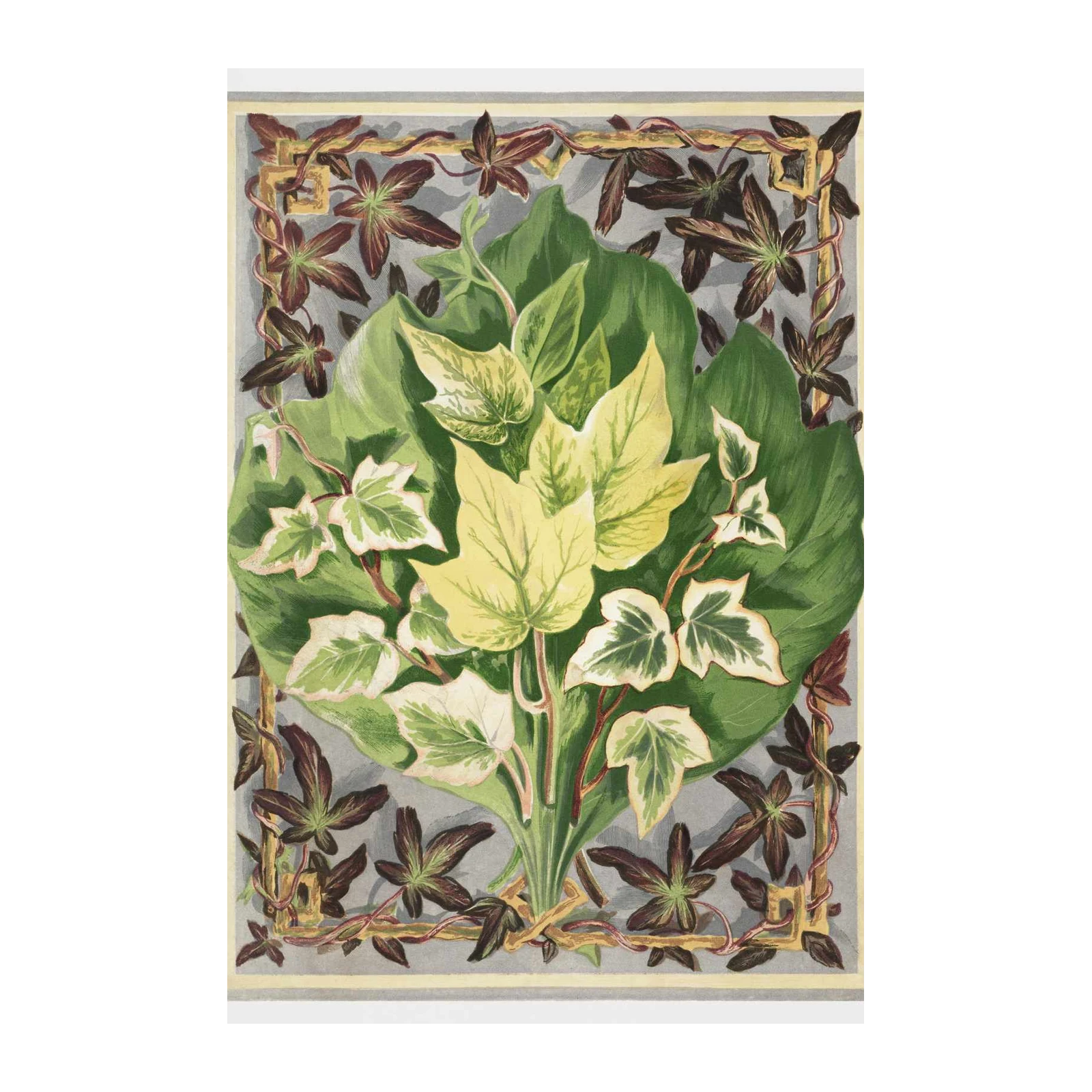 Botanical Ivy Arrangement Wall Art
