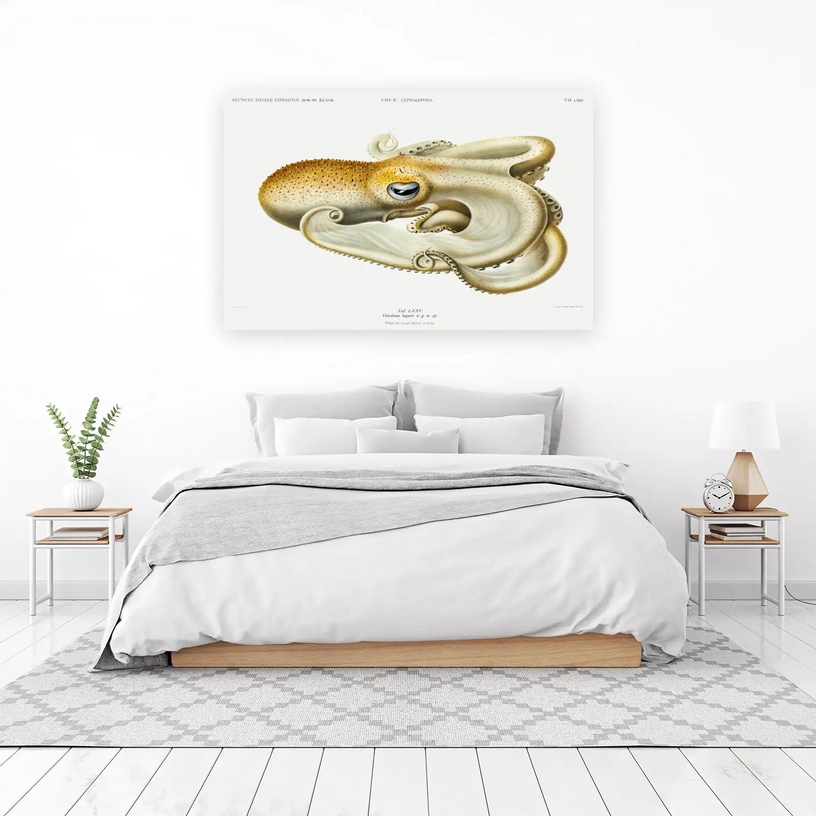 Vintage Octopus Ocean Life Wall Art Wall Art