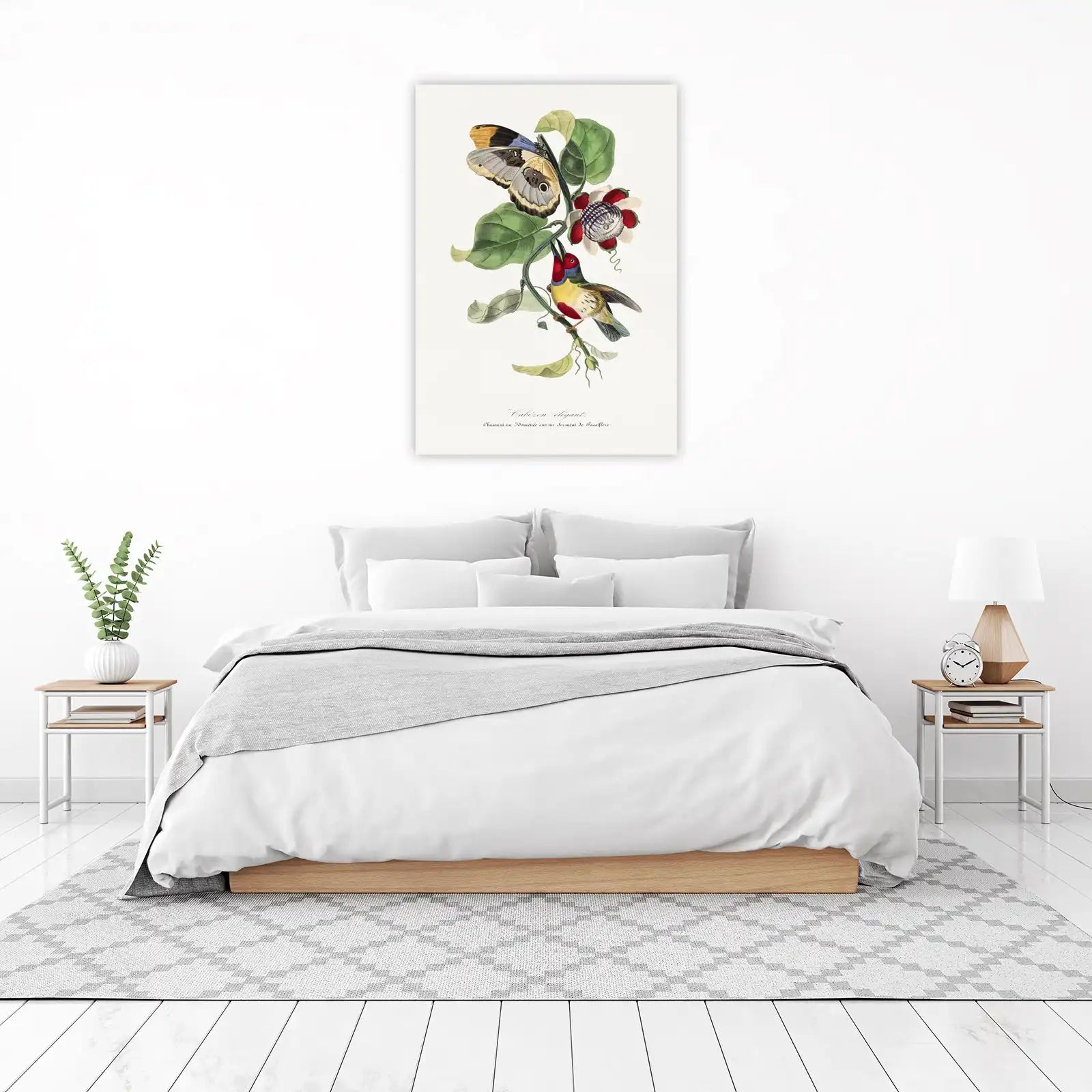Elegant Butterfly & Bird Botanical Wall Art