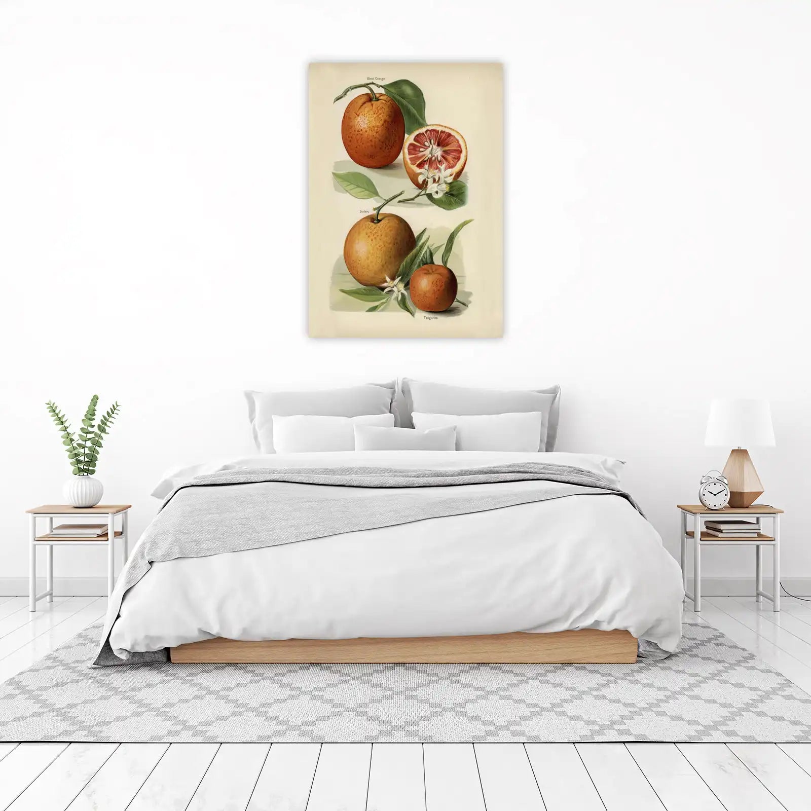 Vintage Citrus Blood Orange & Tangerine Wall Art