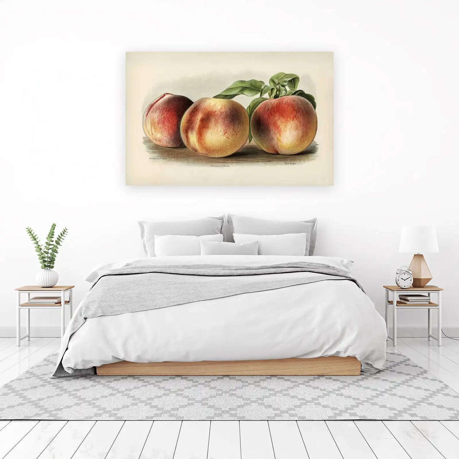 Vintage Fruit Botanical Peach Wall Art