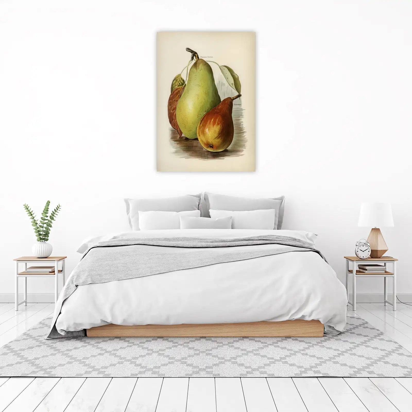 Vintage Pear Botanical Art Wall Art
