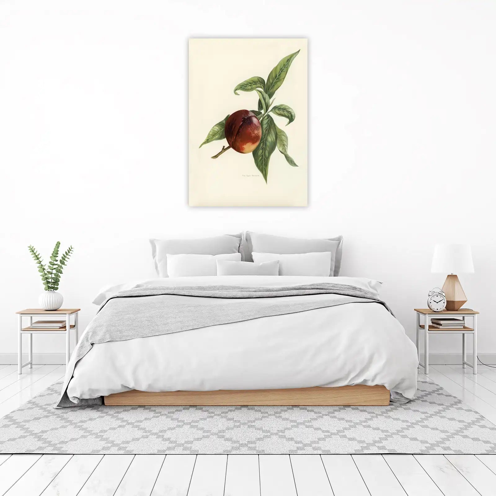 Vintage Nectarine Botanical Art Wall Art