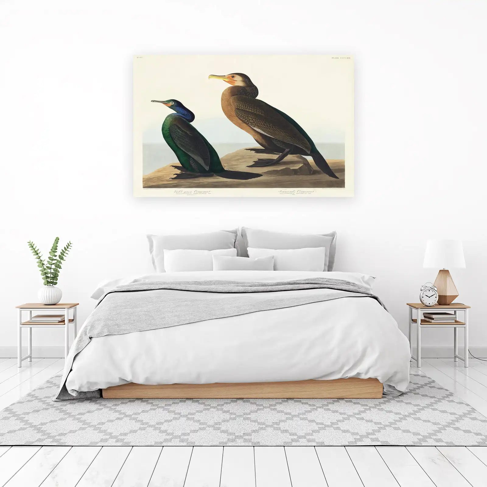 Vintage Bird Art: Violet-green Cormorant Wall Art