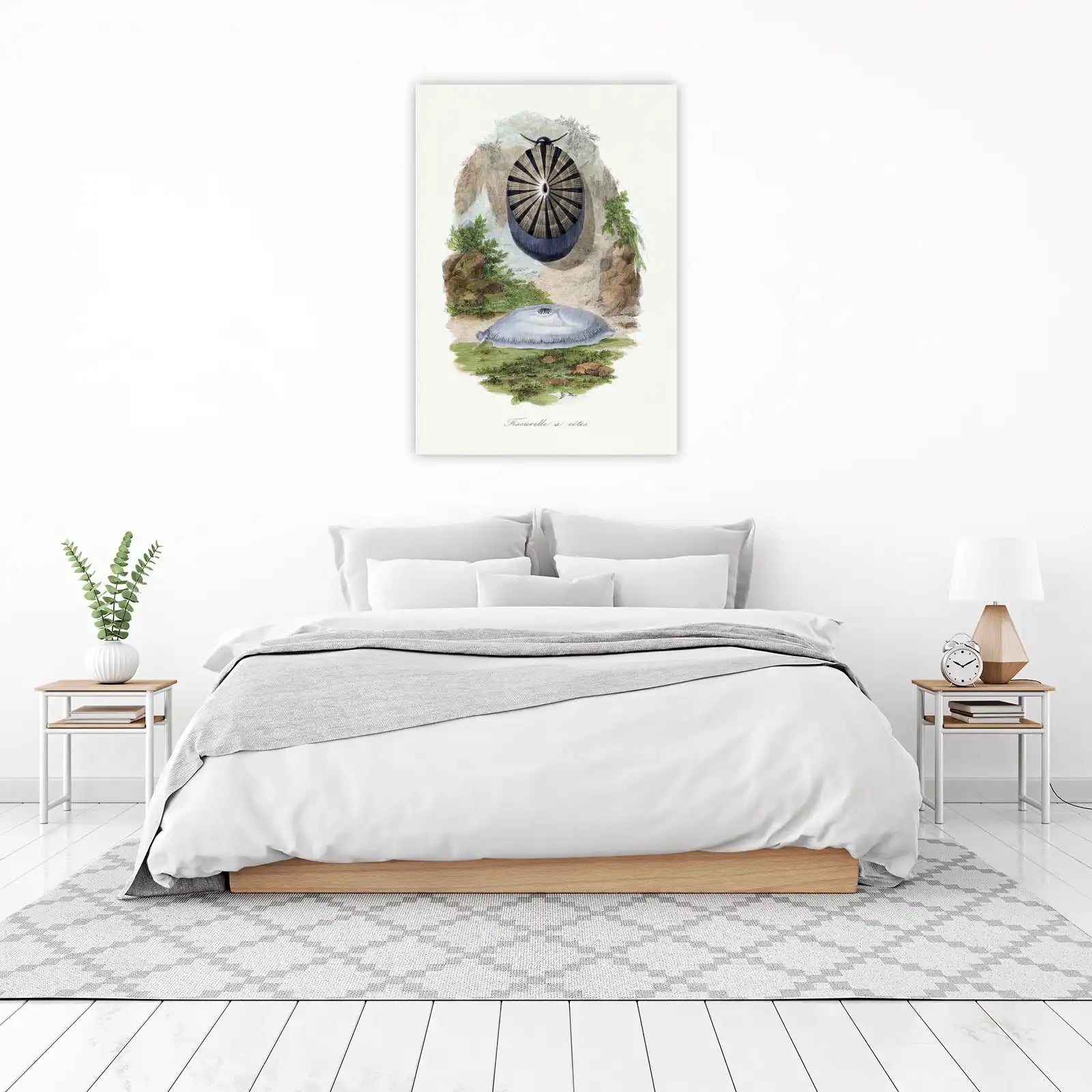 Vintage Sea Creature Botanical Wall Art