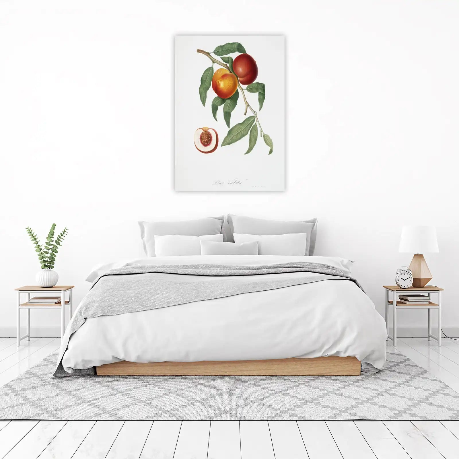 Vintage Peach Botanical Art Wall Art