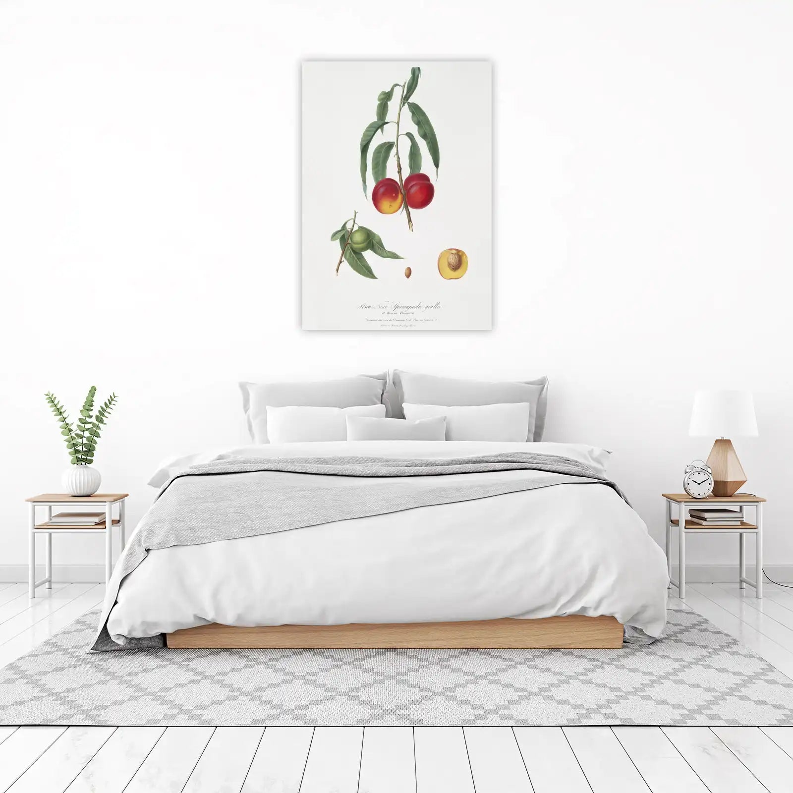 Vintage Peach Botanical Art Wall Art