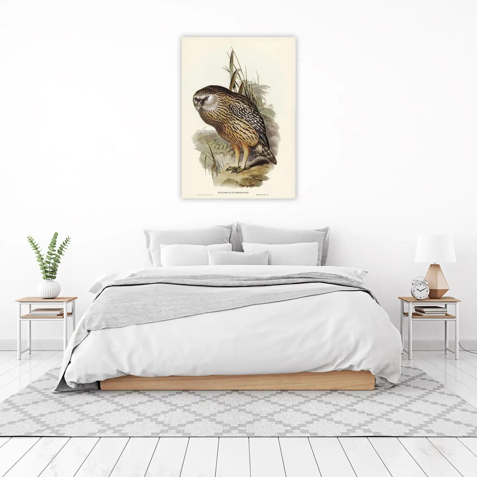 Majestic Owl Nature Art Wall Art
