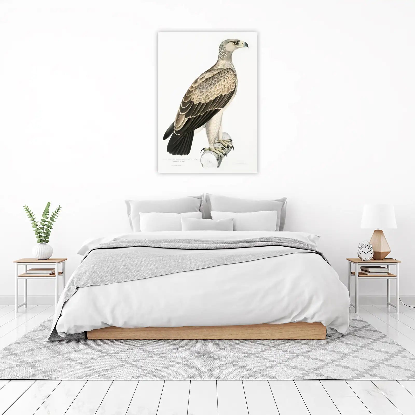 Majestic Eagle Vintage Wildlife Wall Art