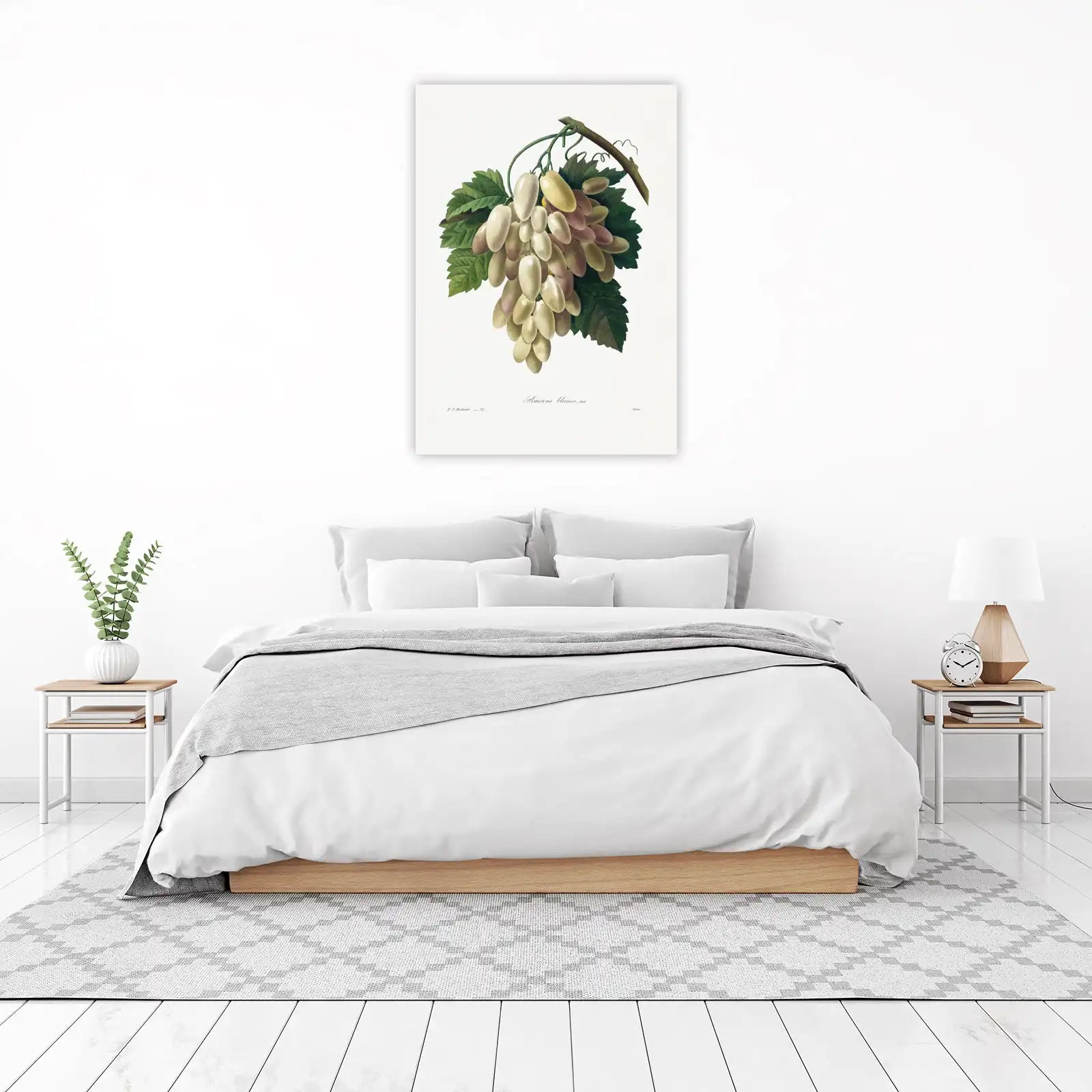 Vintage White Grapes Botanical Art Wall Art