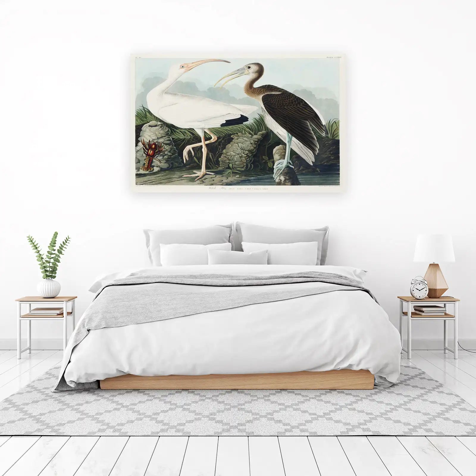 Audubon White Ibis & Young Wall Art