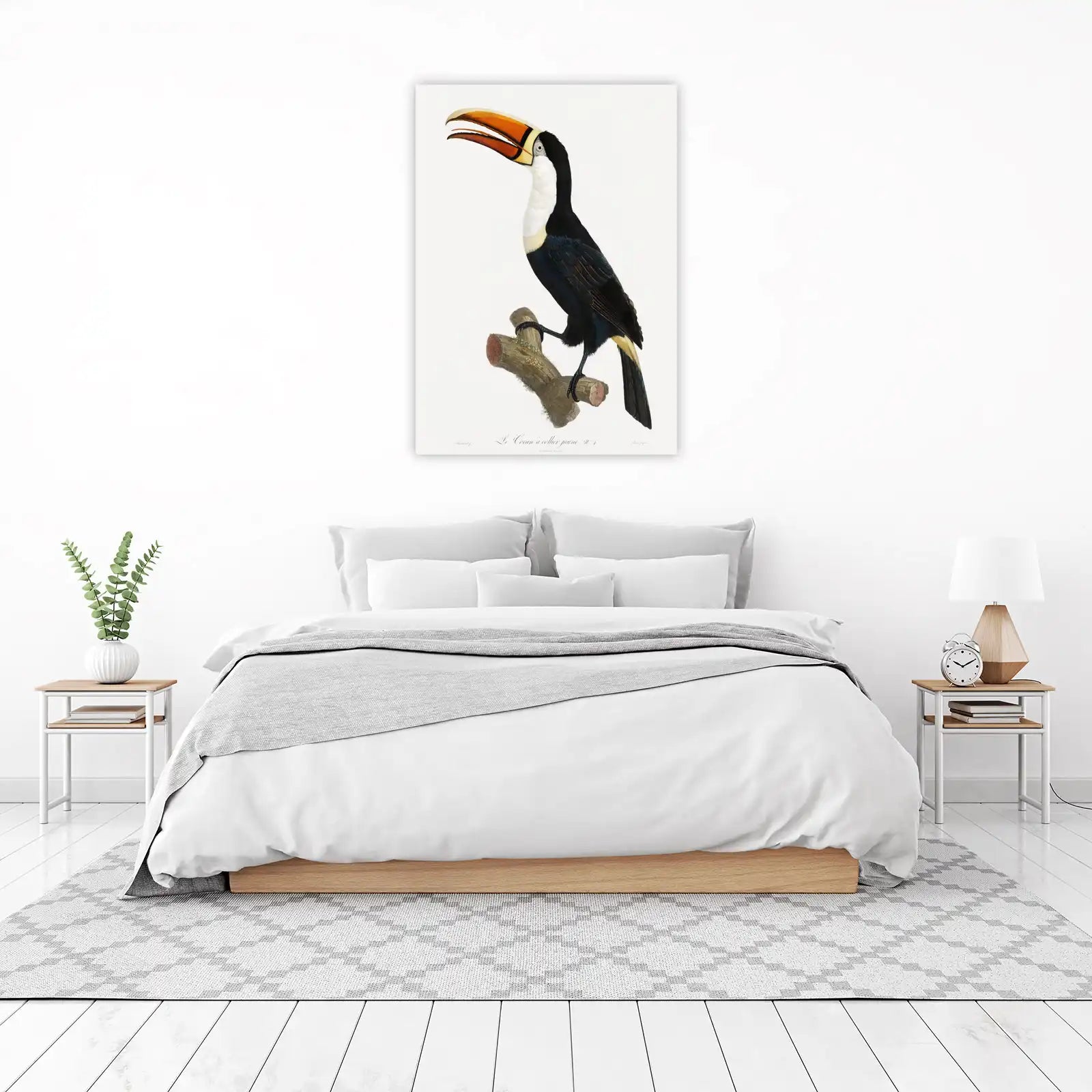 Vibrant Toucan Bird Art Wall Art