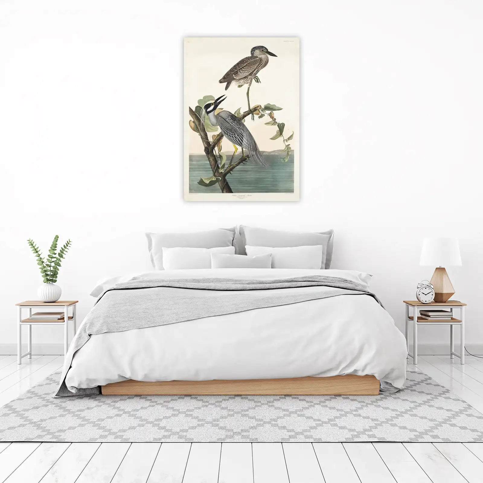 Yellow Crowned Heron Fine Art Wall Art
