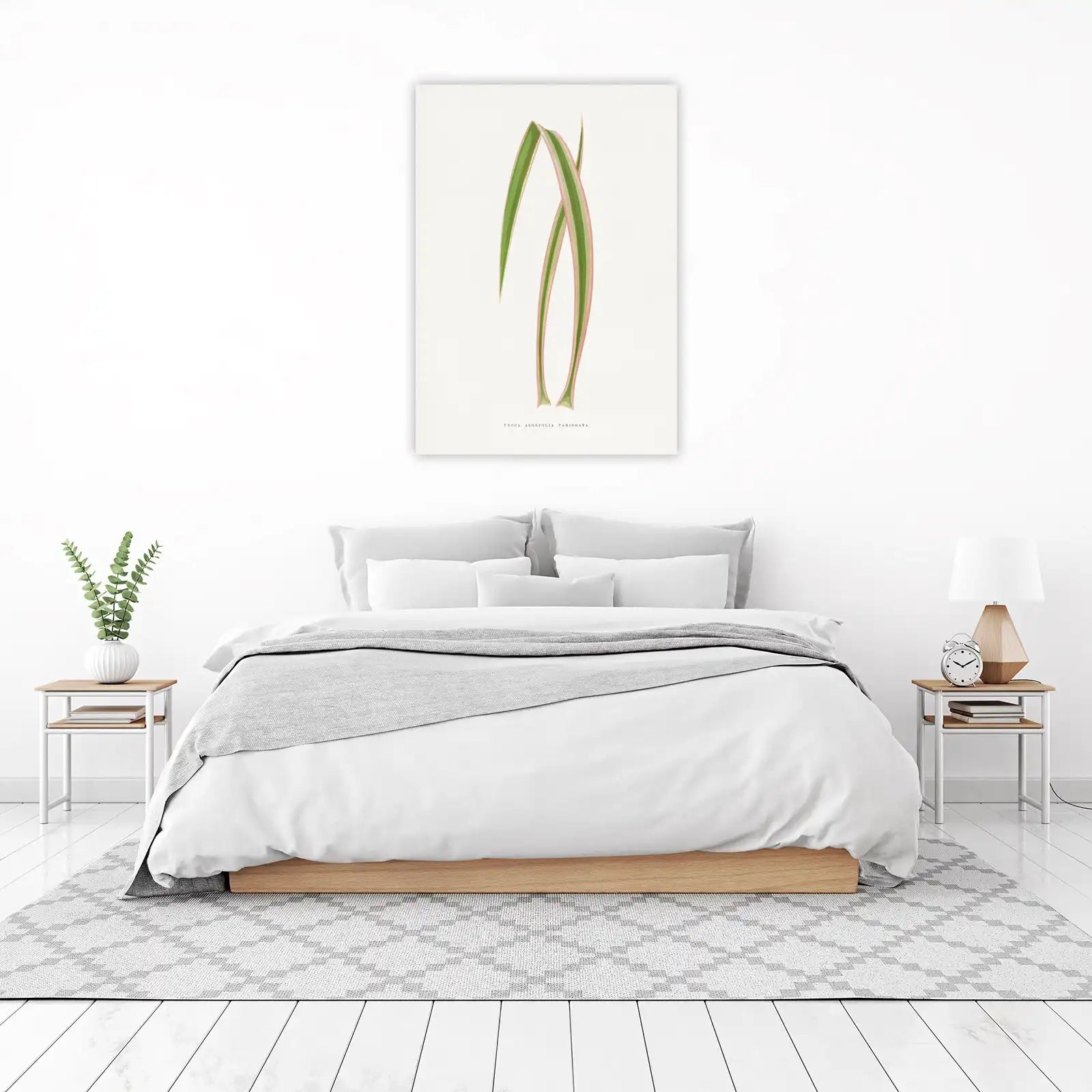 Elegant Yucca Aloe Folia Variegata Wall Art