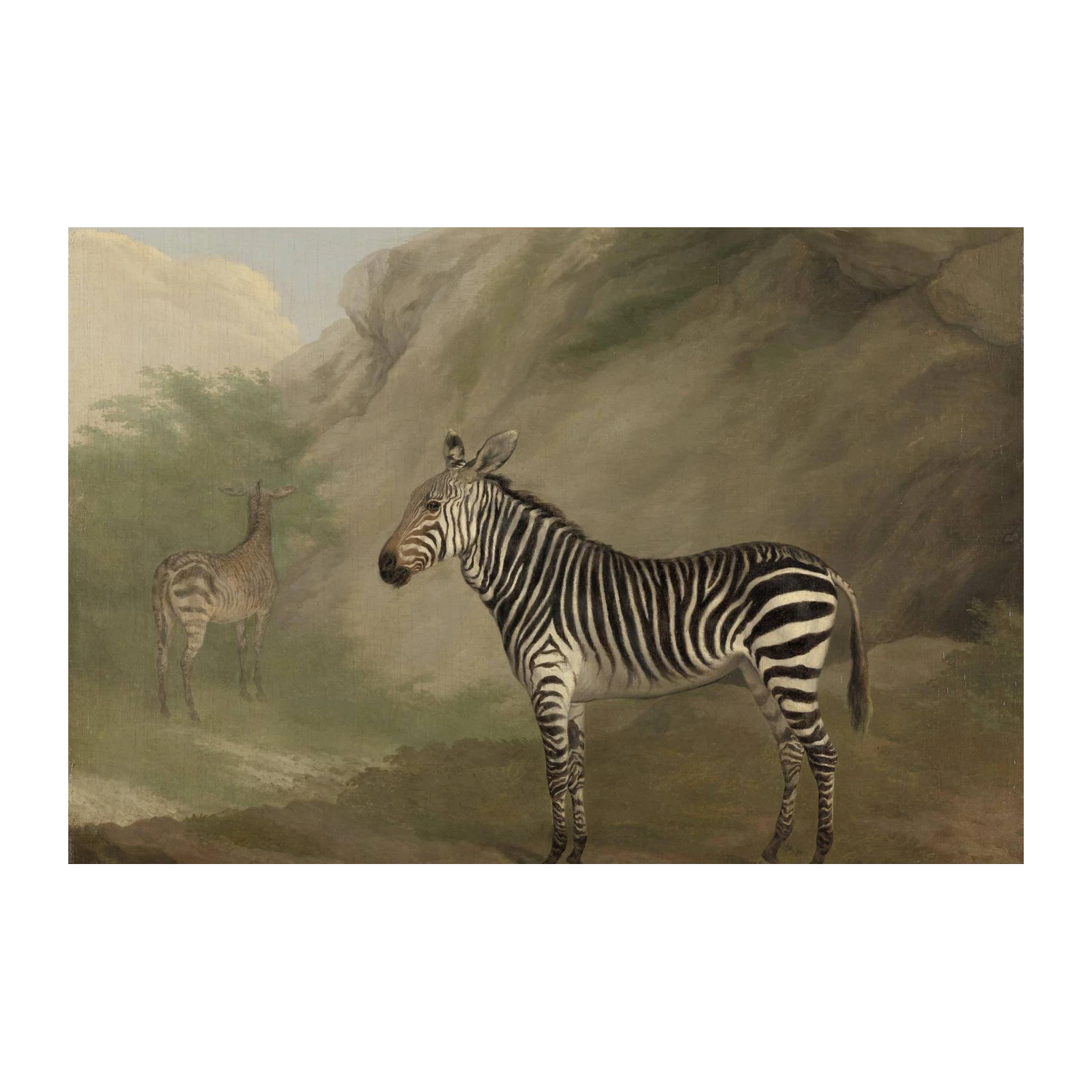 Majestic Zebras Nature Landscape Wall Art