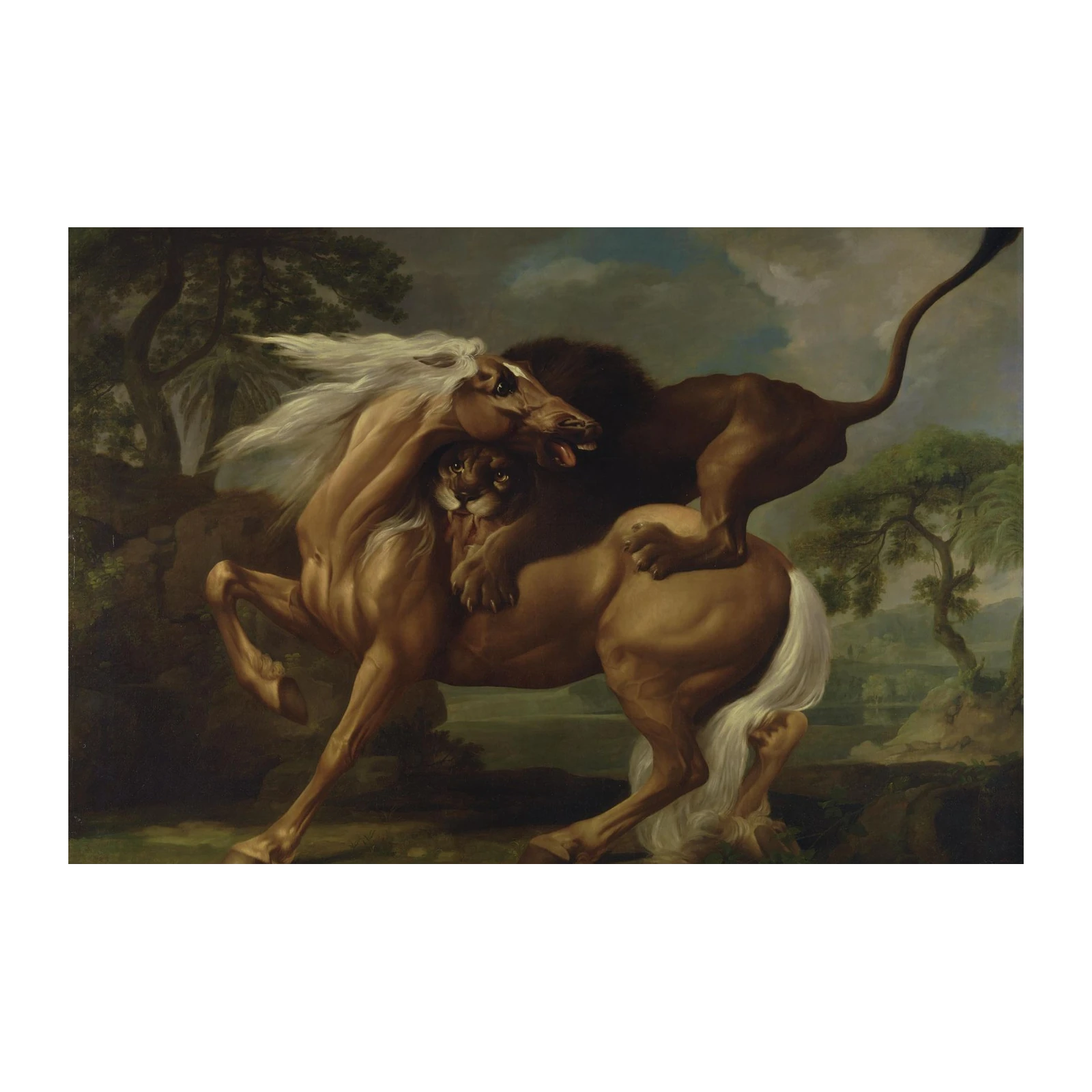 Lion Attacking Horse Majestic Wildlife Wall Art