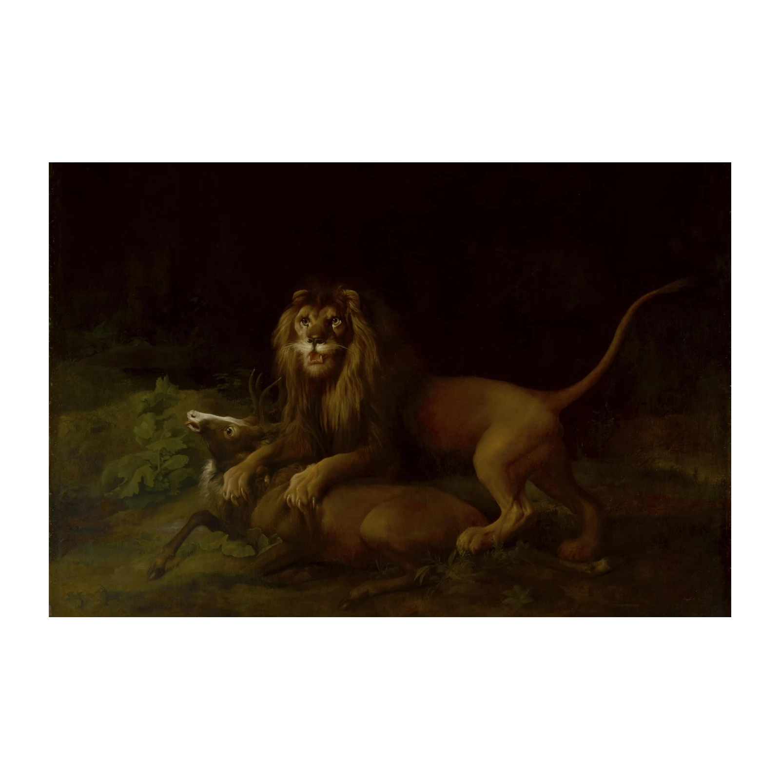 Majestic Lion Hunt Wall Art Wall Art