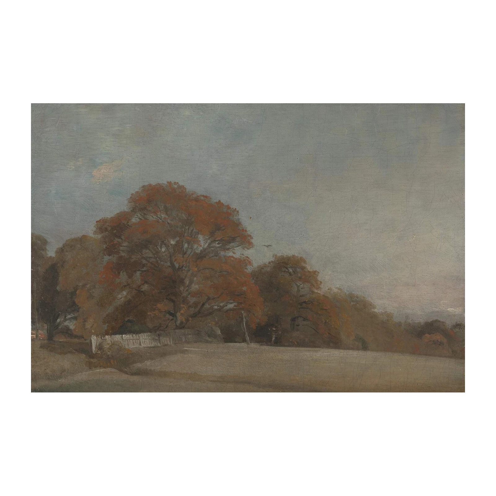 Autumn Landscape with Trees Wall Art
