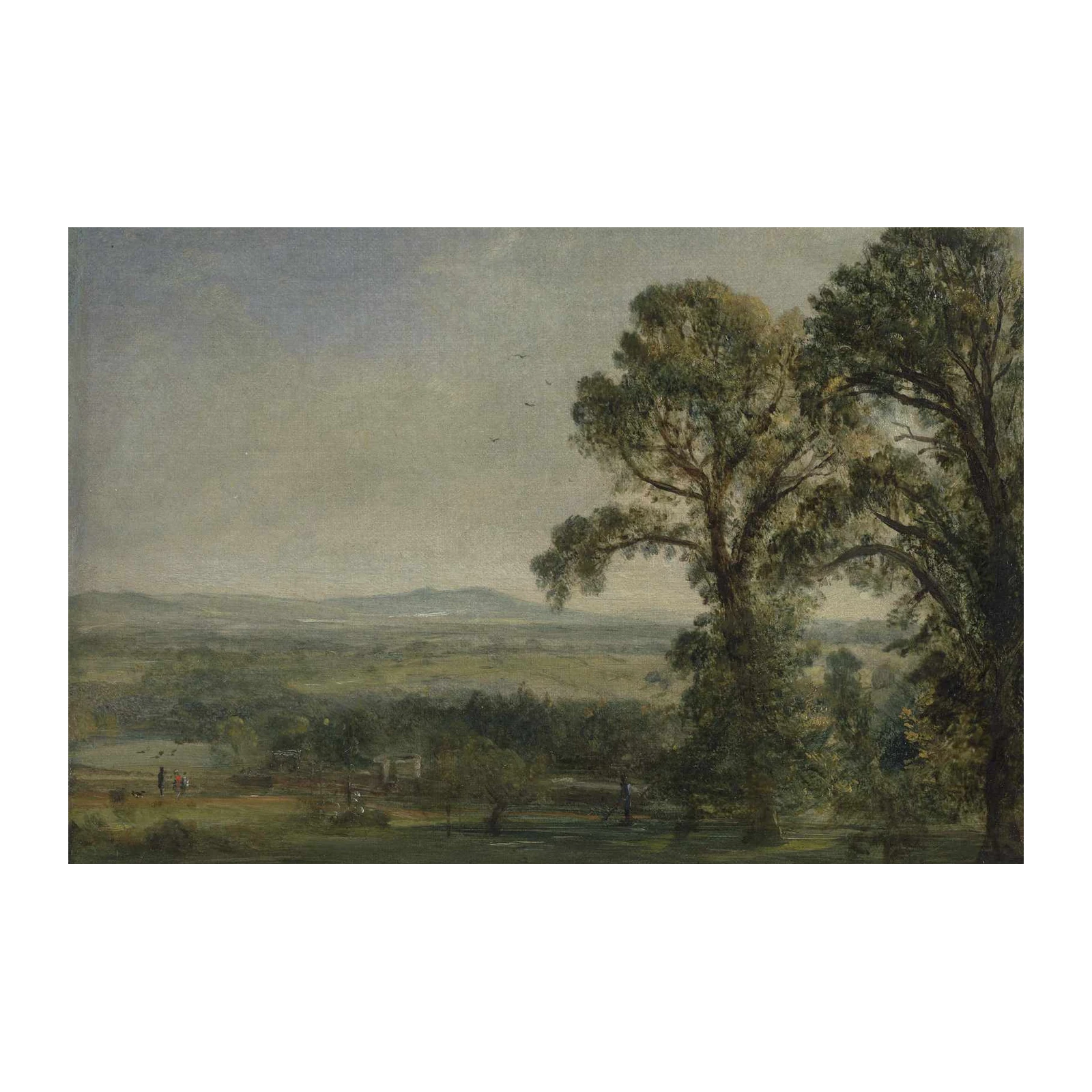 Serene Landscape Trees & Rolling Hills Wall Art