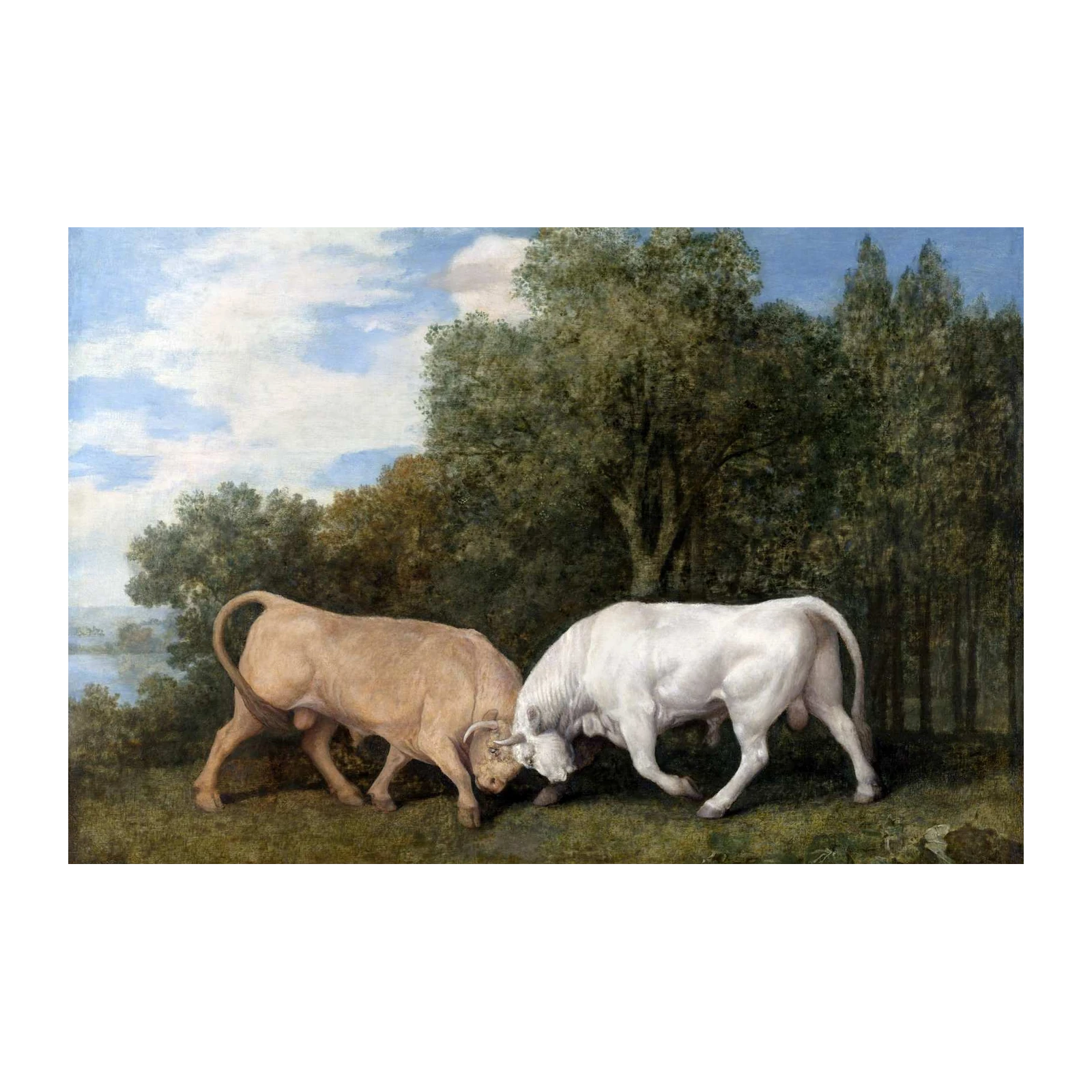 Majestic Bull Fight Landscape Wall Art