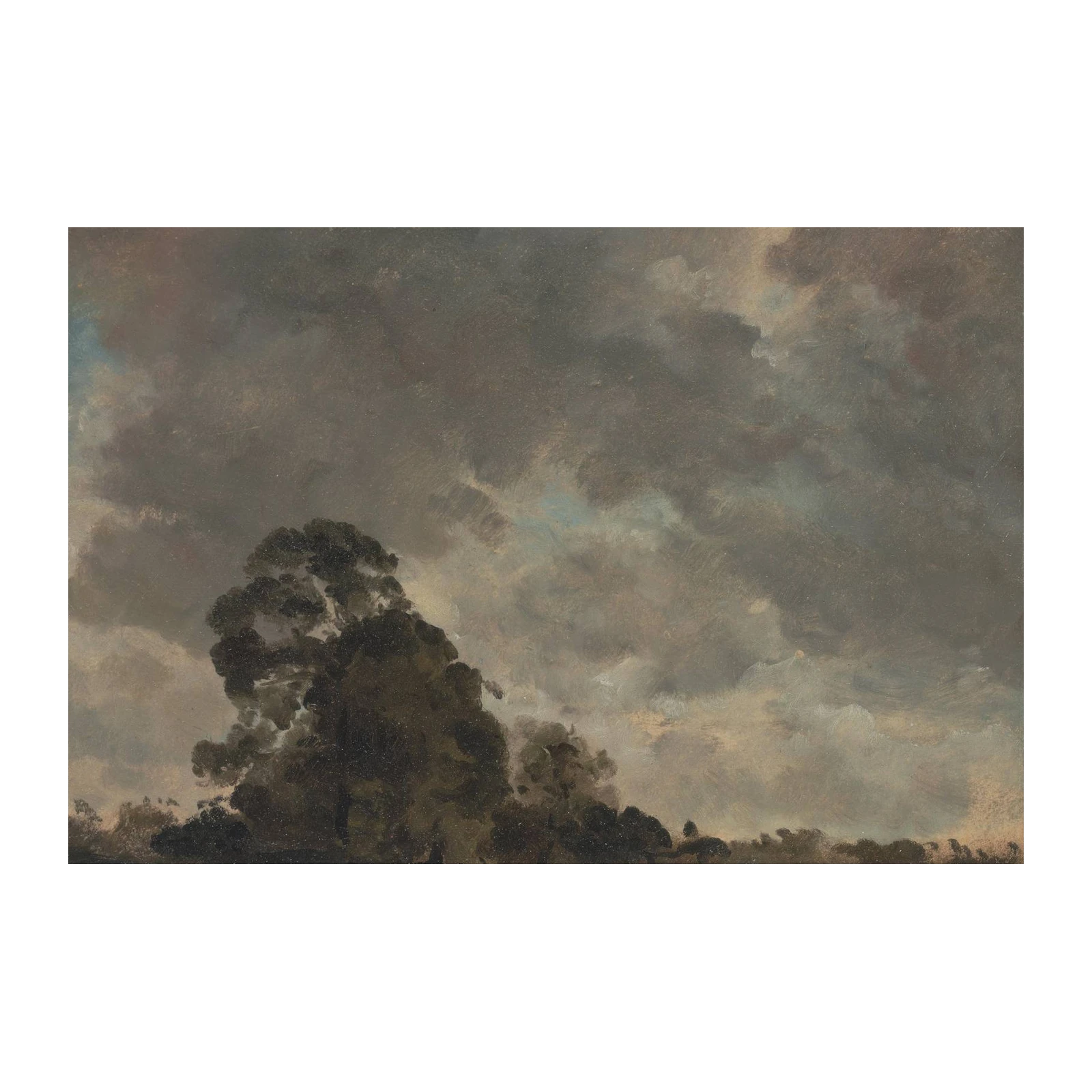Dramatic Skies & Trees Wall Art