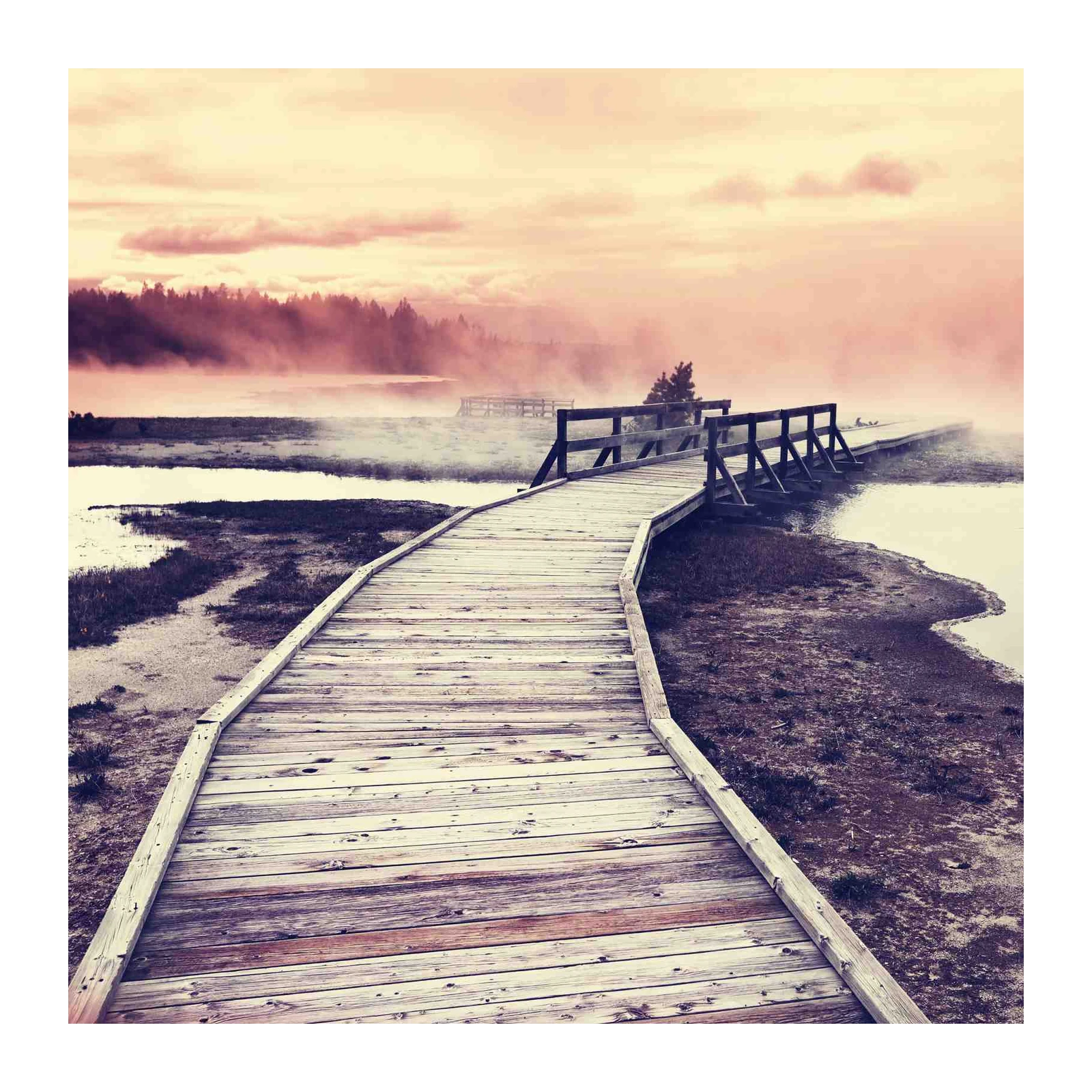 Misty Boardwalk Serenity Landscape Wall Art