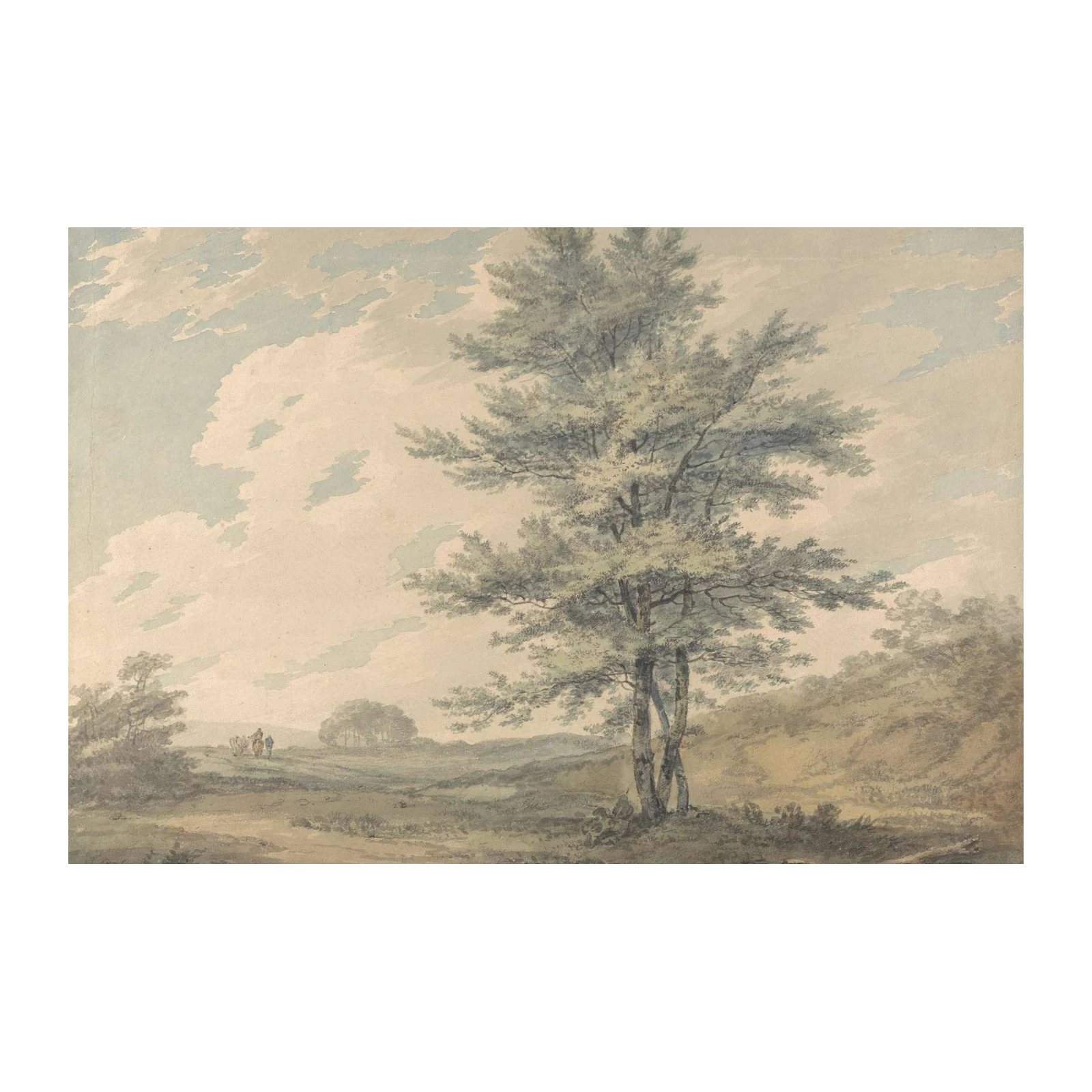Serene Woodland Landscape Tree Wall Art