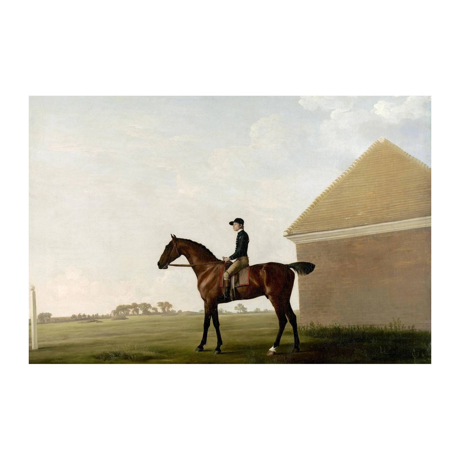 Jockey & Horse Equestrian Art Wall Art