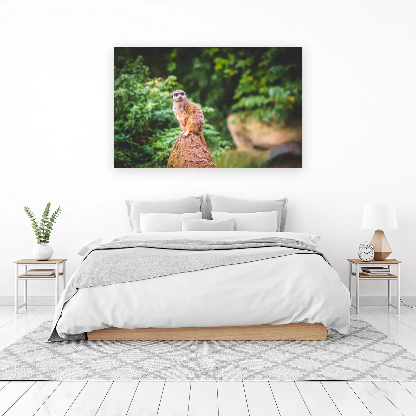 Curious Meerkat on Rock Wildlife Wall Art