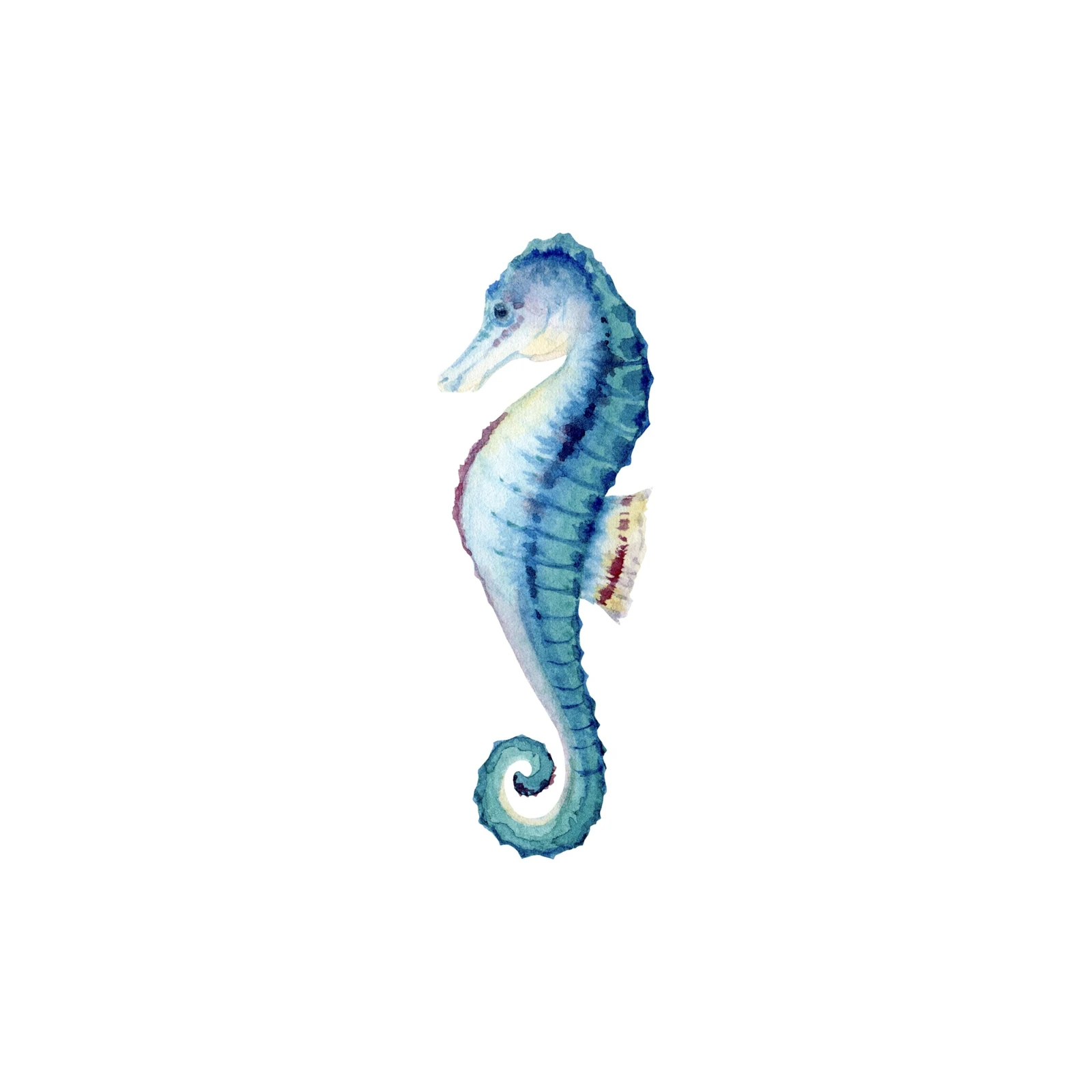 Blue Seahorse Watercolor Art Wall Art