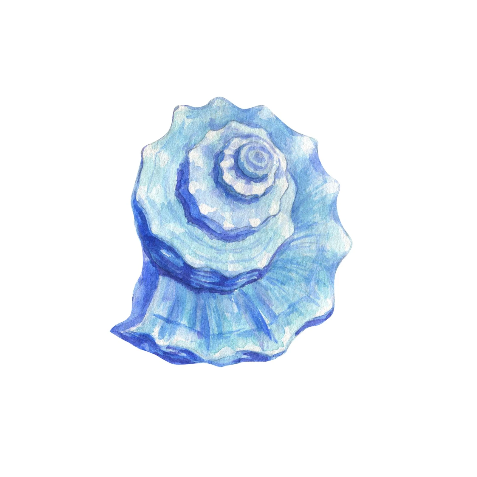 Serene Blue Seashell Watercolor Wall Art