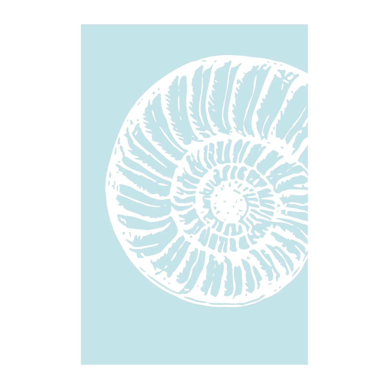 Serene Nautilus Shell Coastal Wall Art