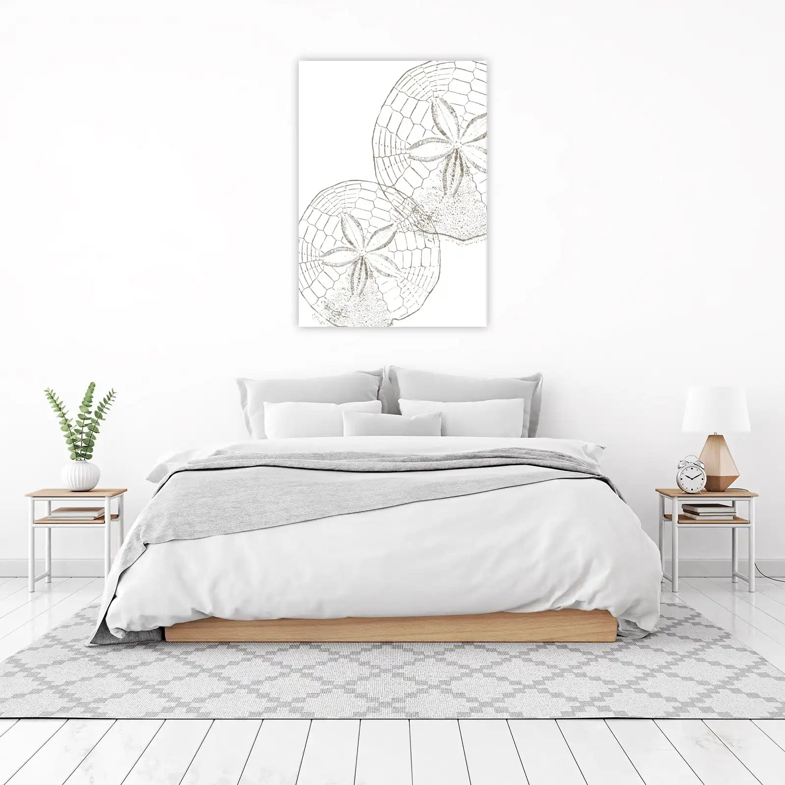 Vintage Sand Dollar Duo Wall Art