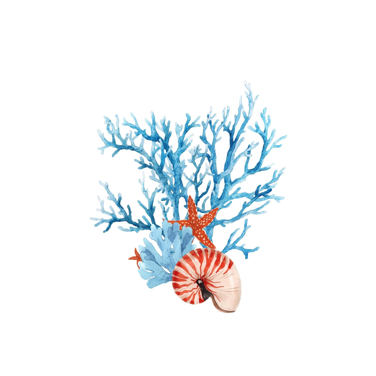 Ocean Coral & Shell Watercolor Wall Art