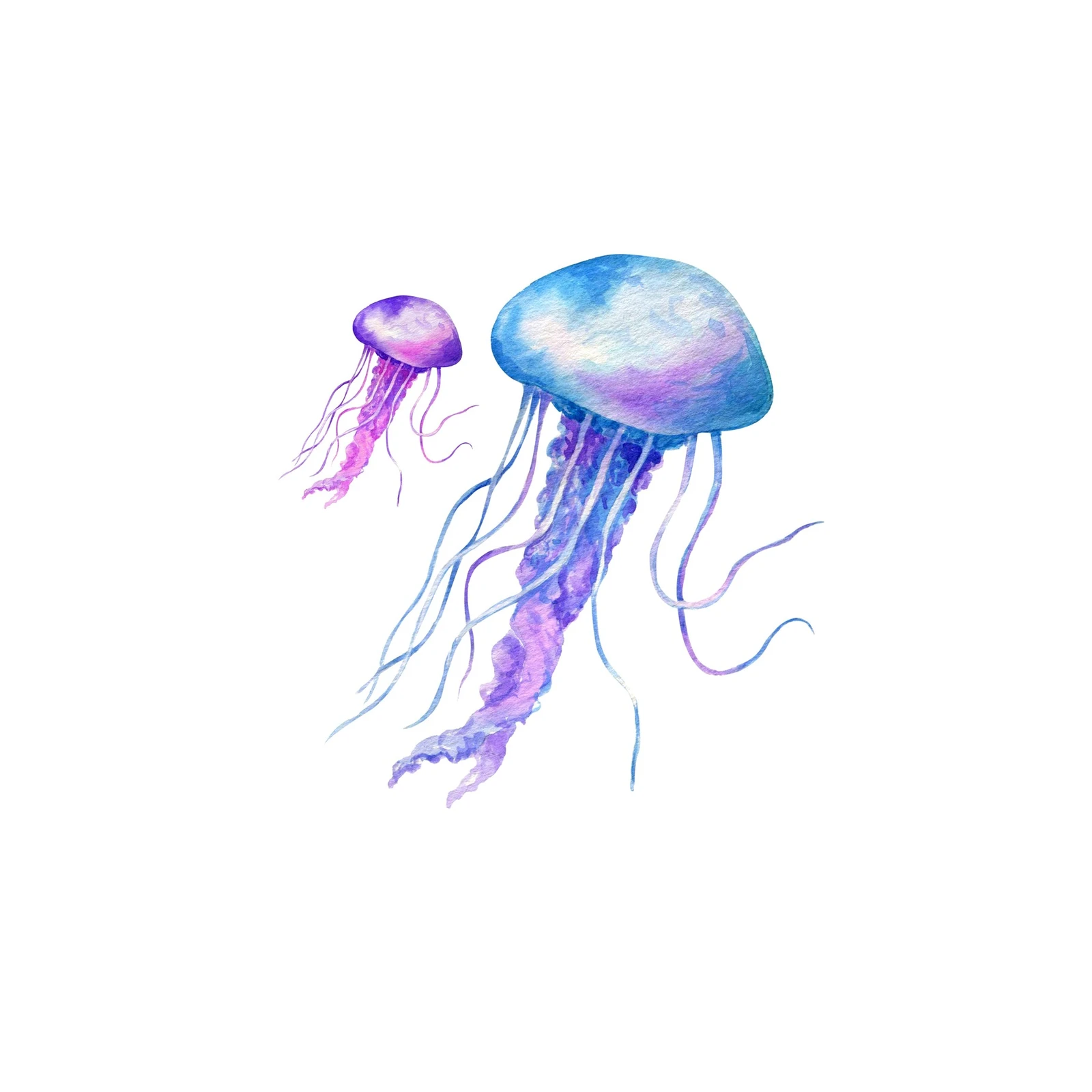 Watercolor Jellyfish Duo Wall Art