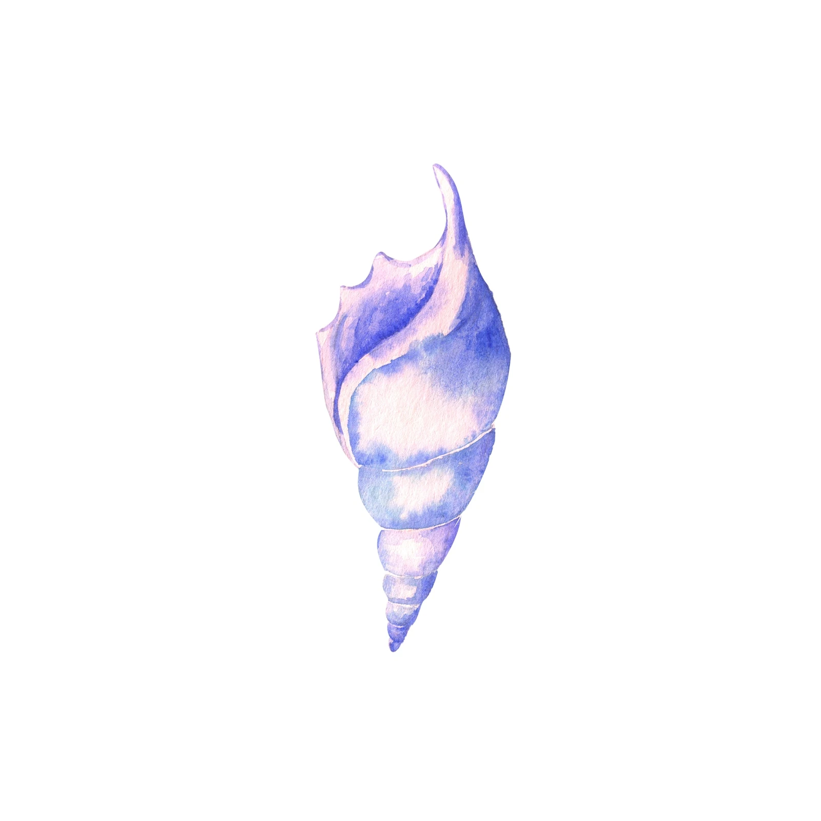 Ocean Breeze Watercolor Seashell Wall Art