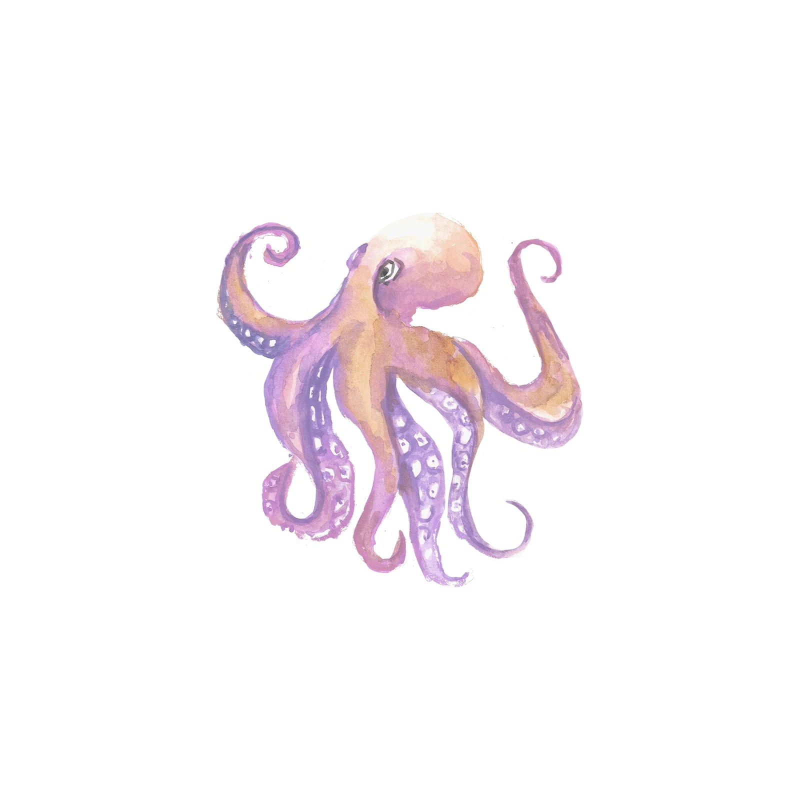 Whimsical Watercolor Octopus Wall Art Wall Art
