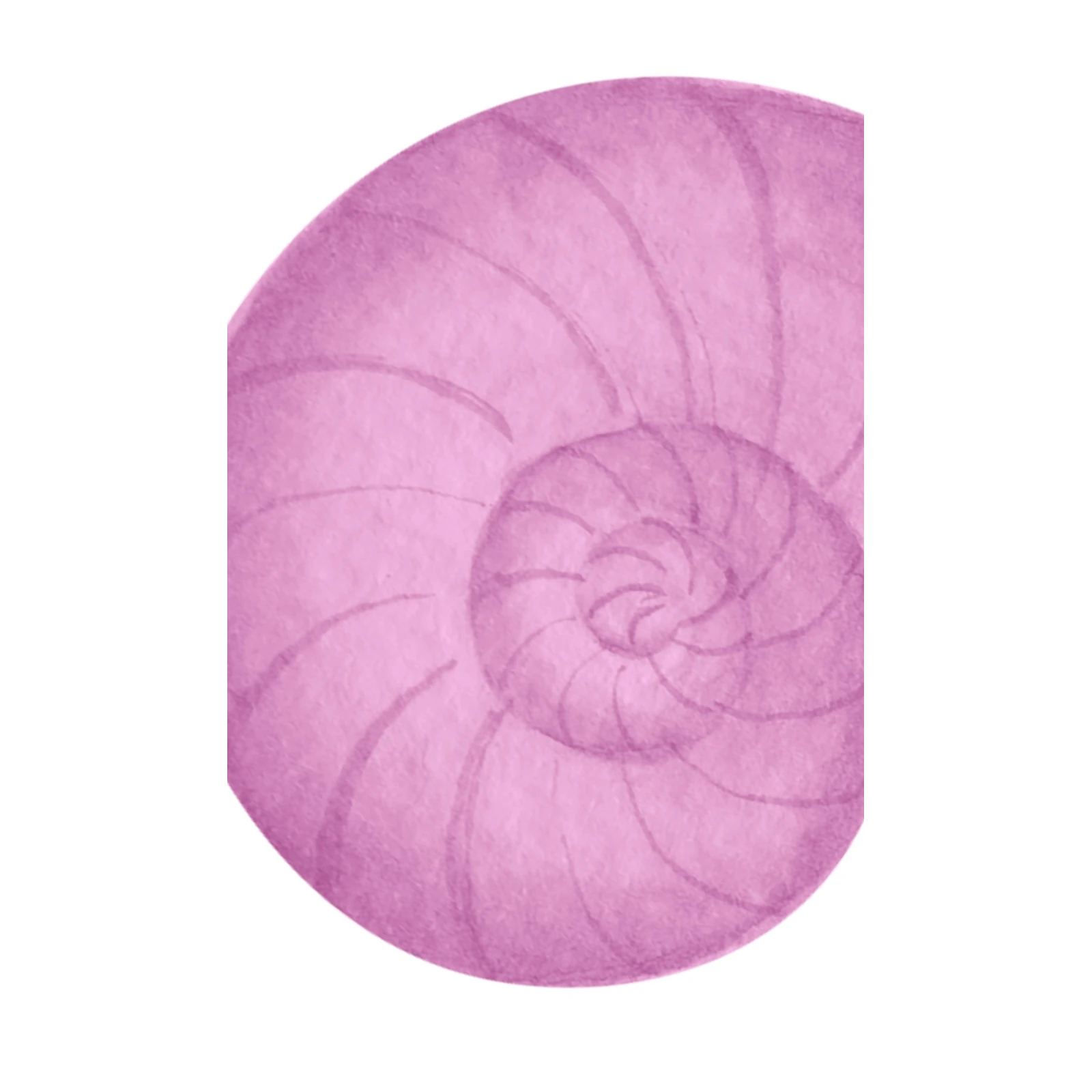Serene Pink Nautilus Shell Art Wall Art