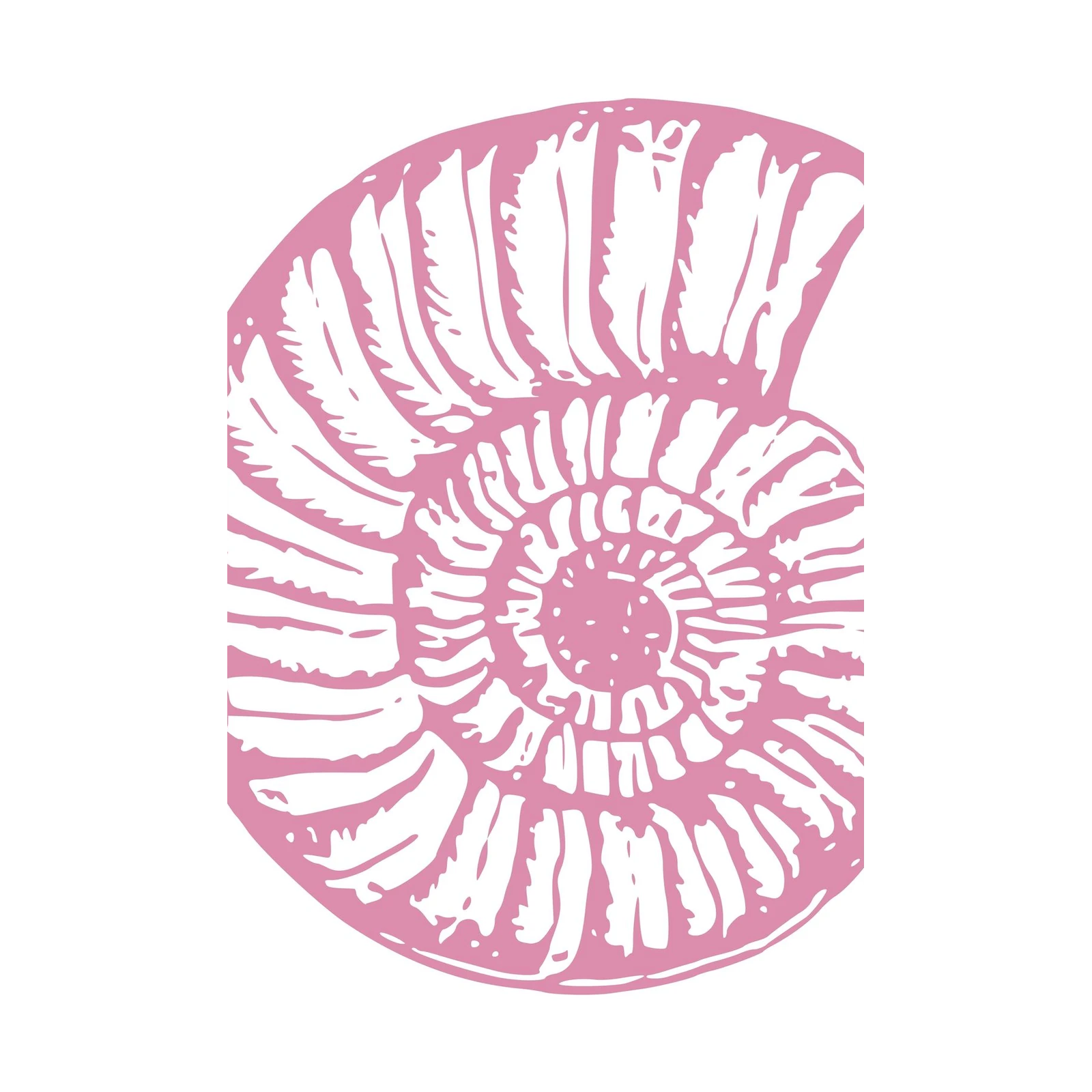 Pink Nautilus Shell Art Wall Art
