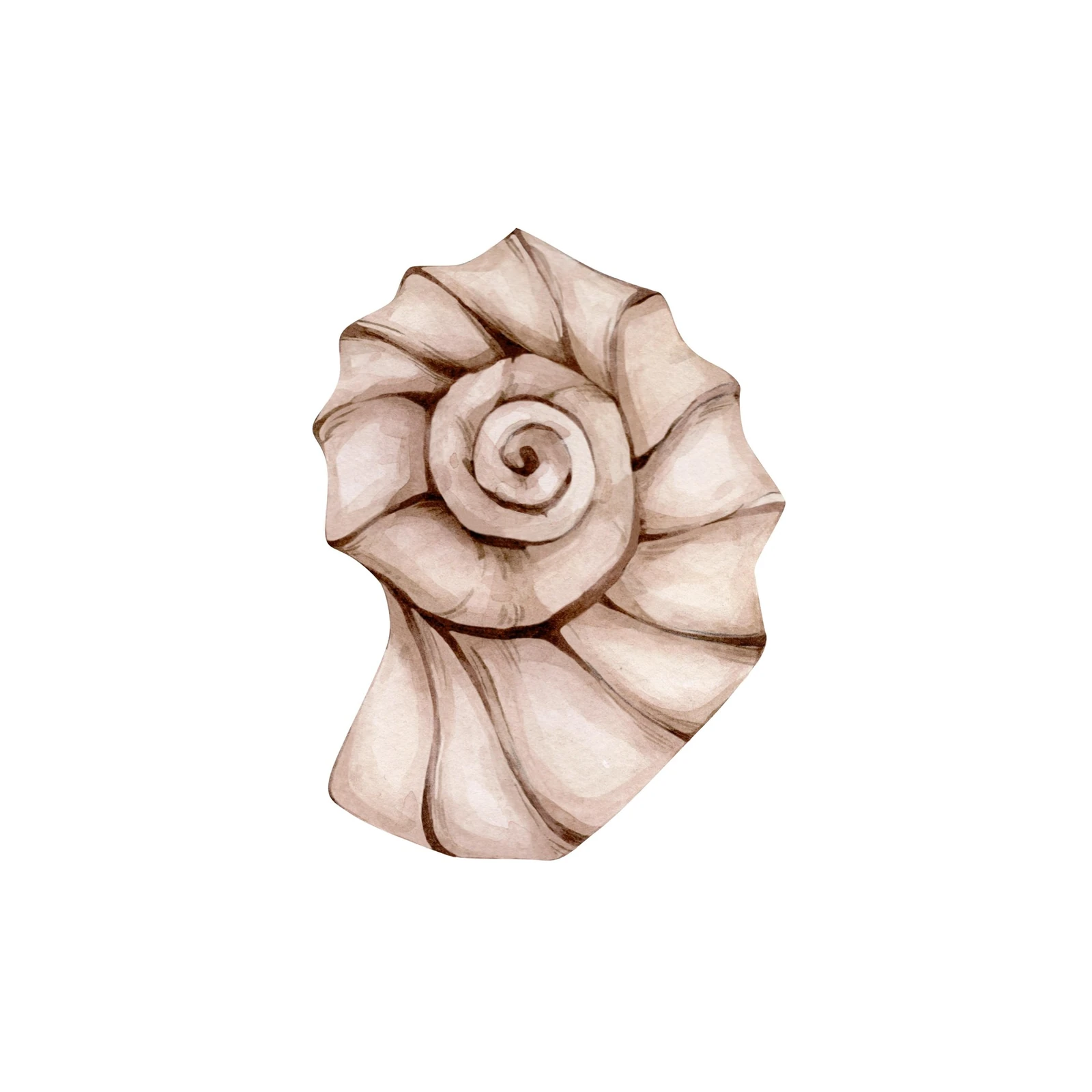 Elegant Nautilus Shell Watercolor Wall Art