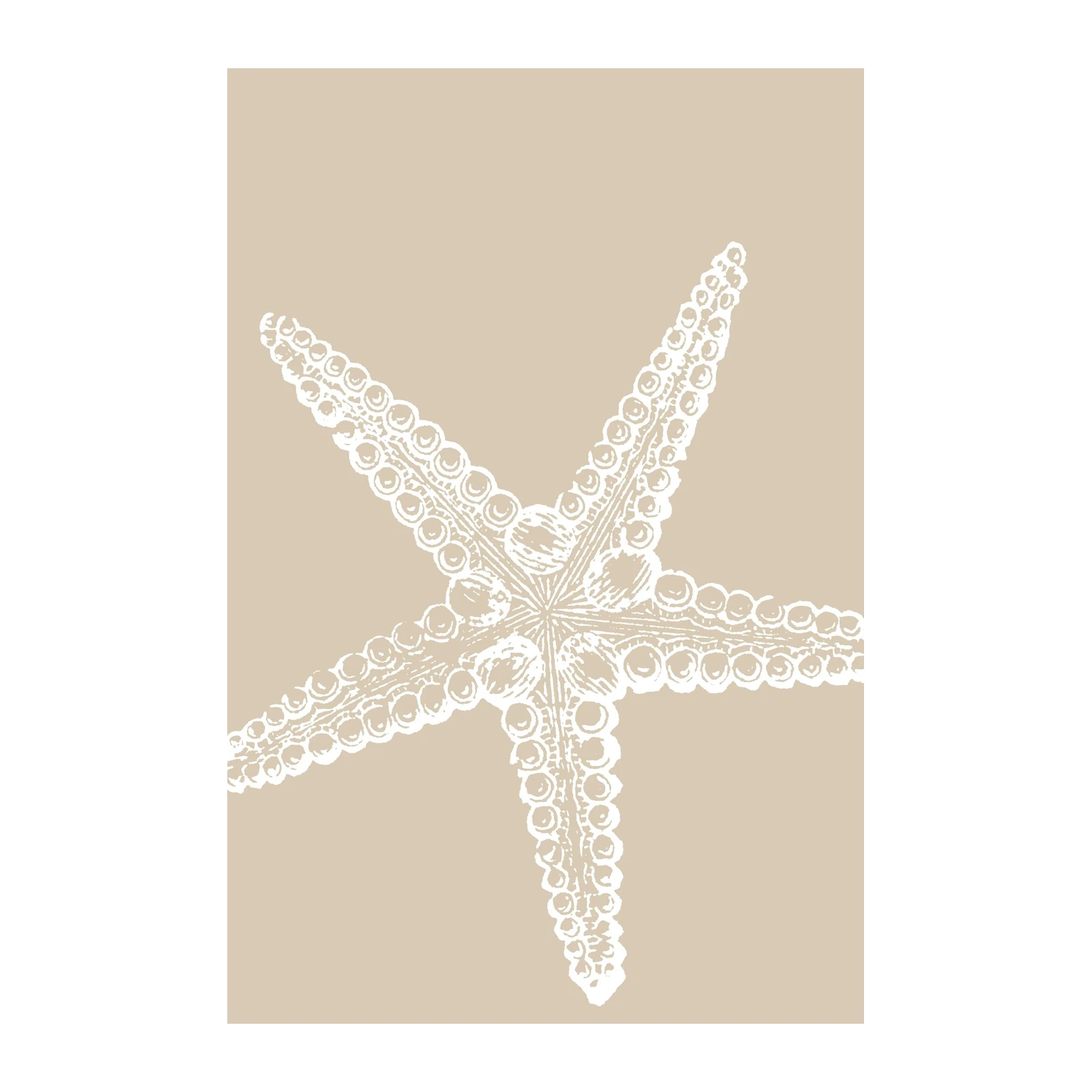 Elegant White Starfish Coastal Wall Art