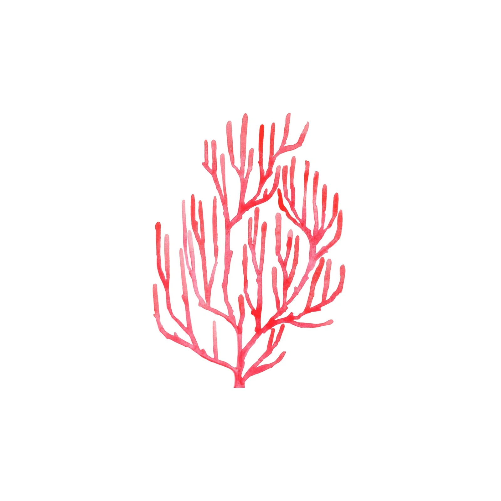 Vibrant Red Coral Watercolor Wall Art