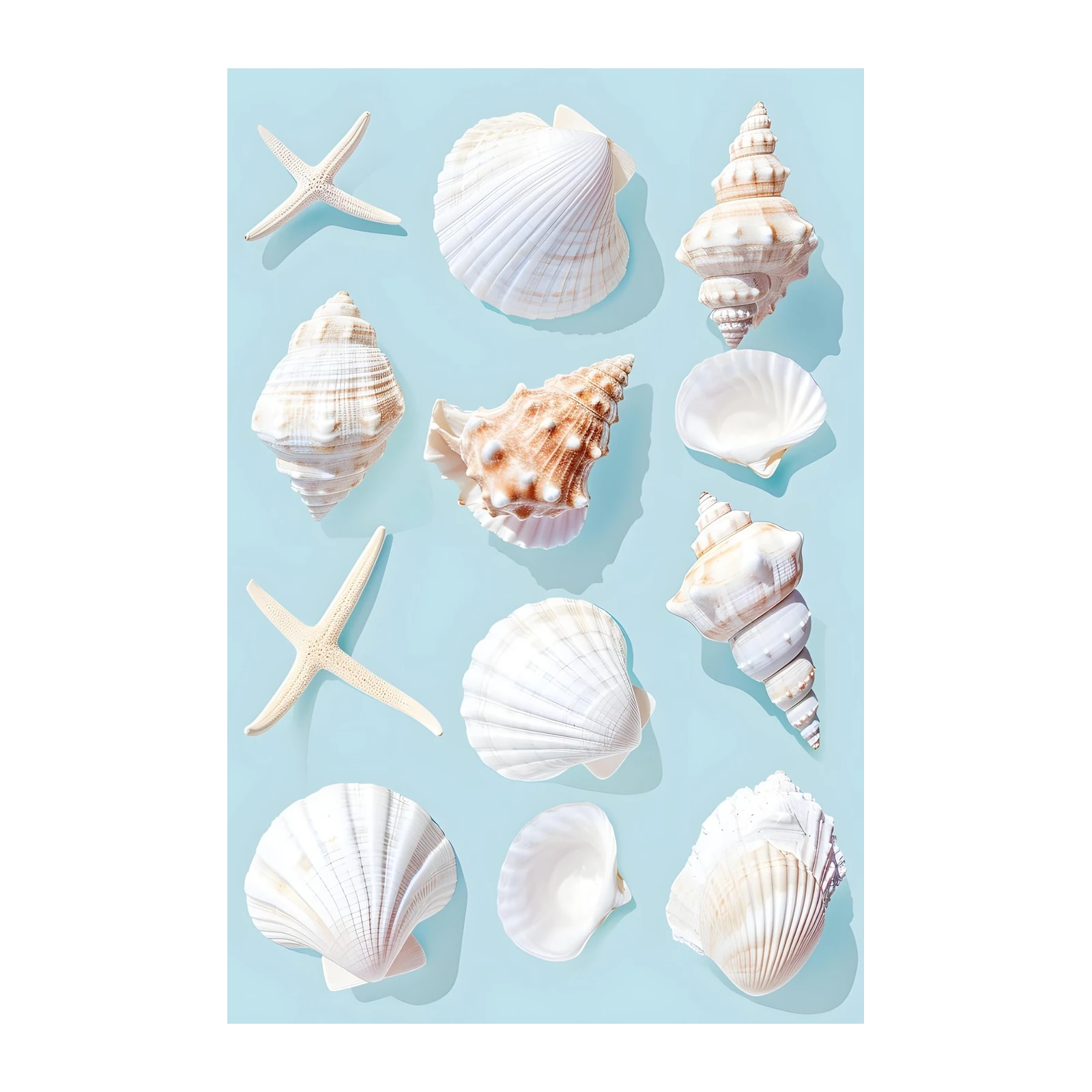 Coastal Shell Collection Wall Art