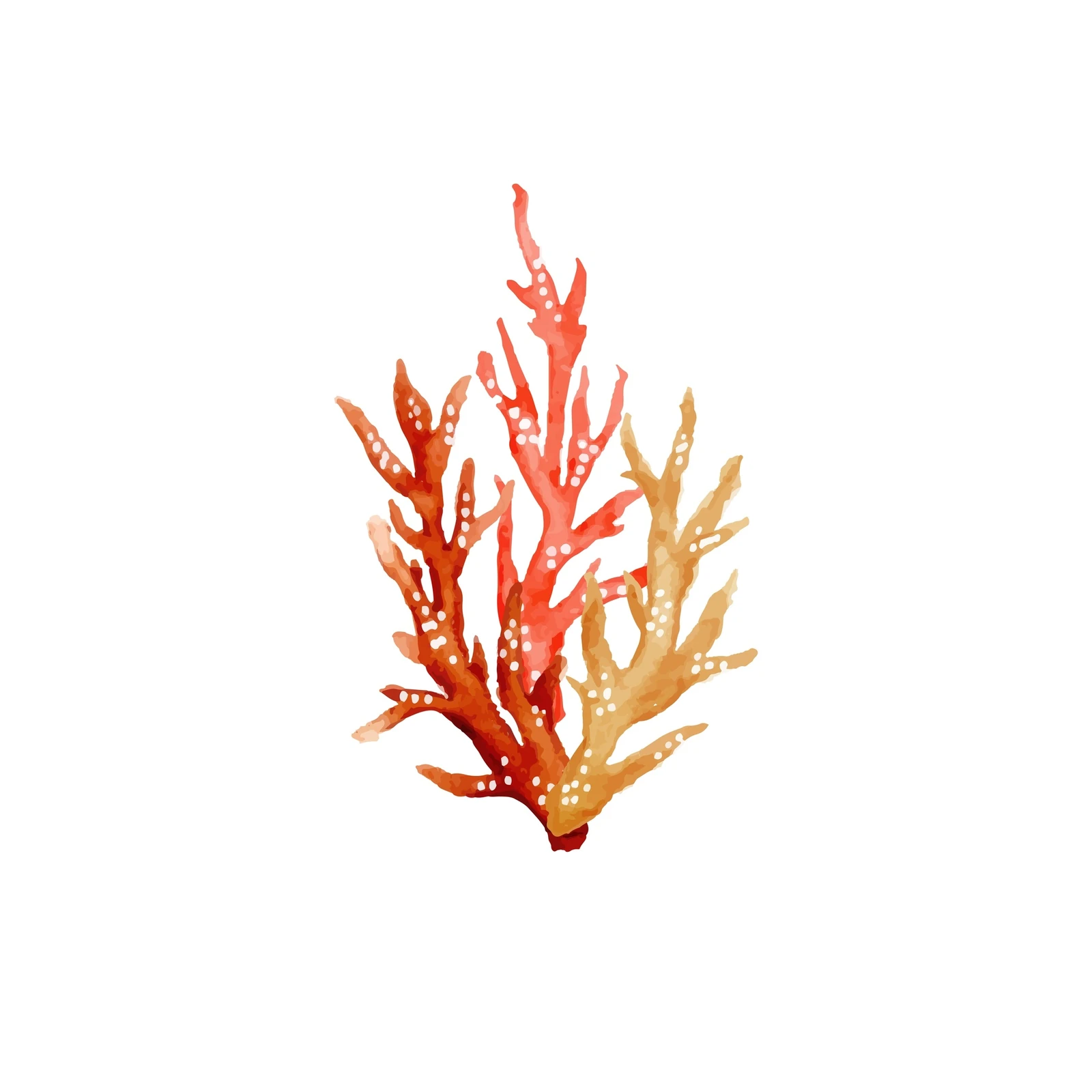 Coastal Coral Dreams Watercolor Wall Art