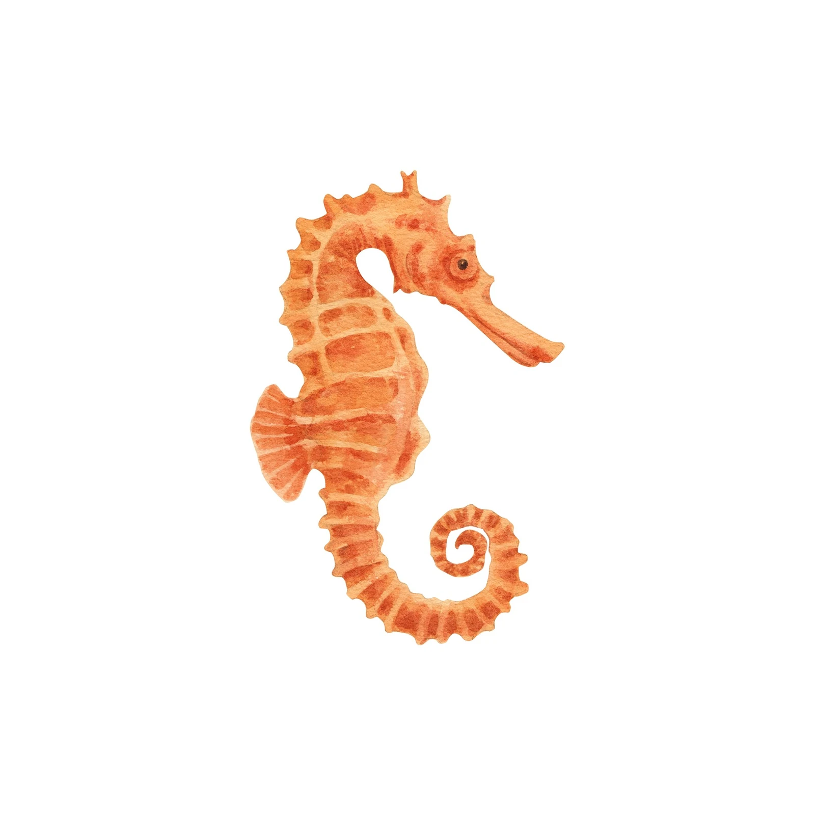 Orange Watercolor Seahorse Wall Art