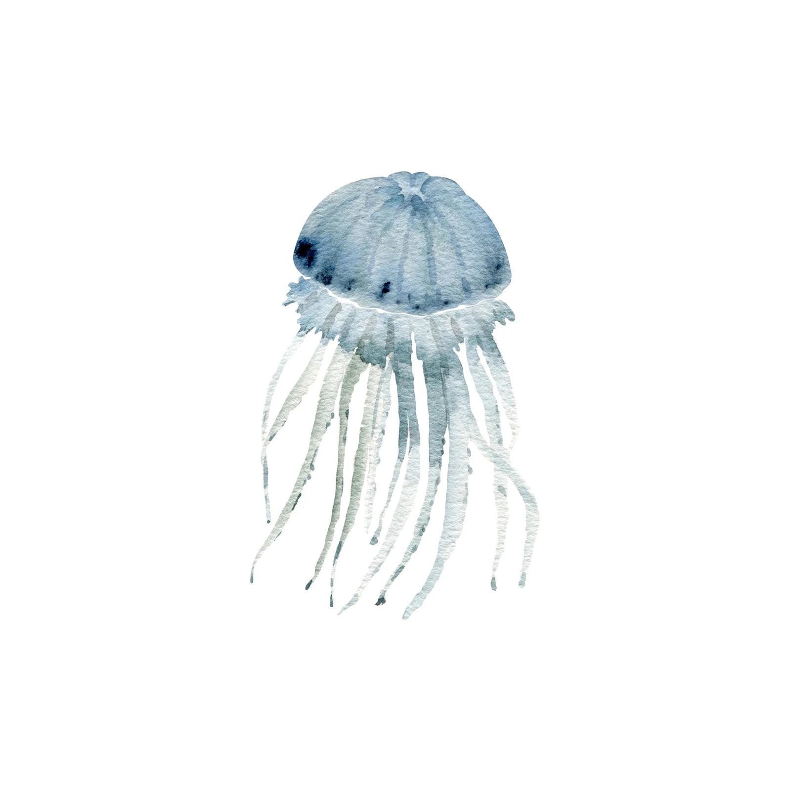 Serene Blue Jellyfish Watercolor Wall Art